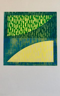 Stampa astratta modernista colorata e audace Monoprint Monotype Painting Print Pierre Obando