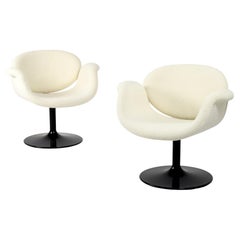 Pierre Paulin Pair of Little Tulip Swivel Chairs First Edition, 1960s