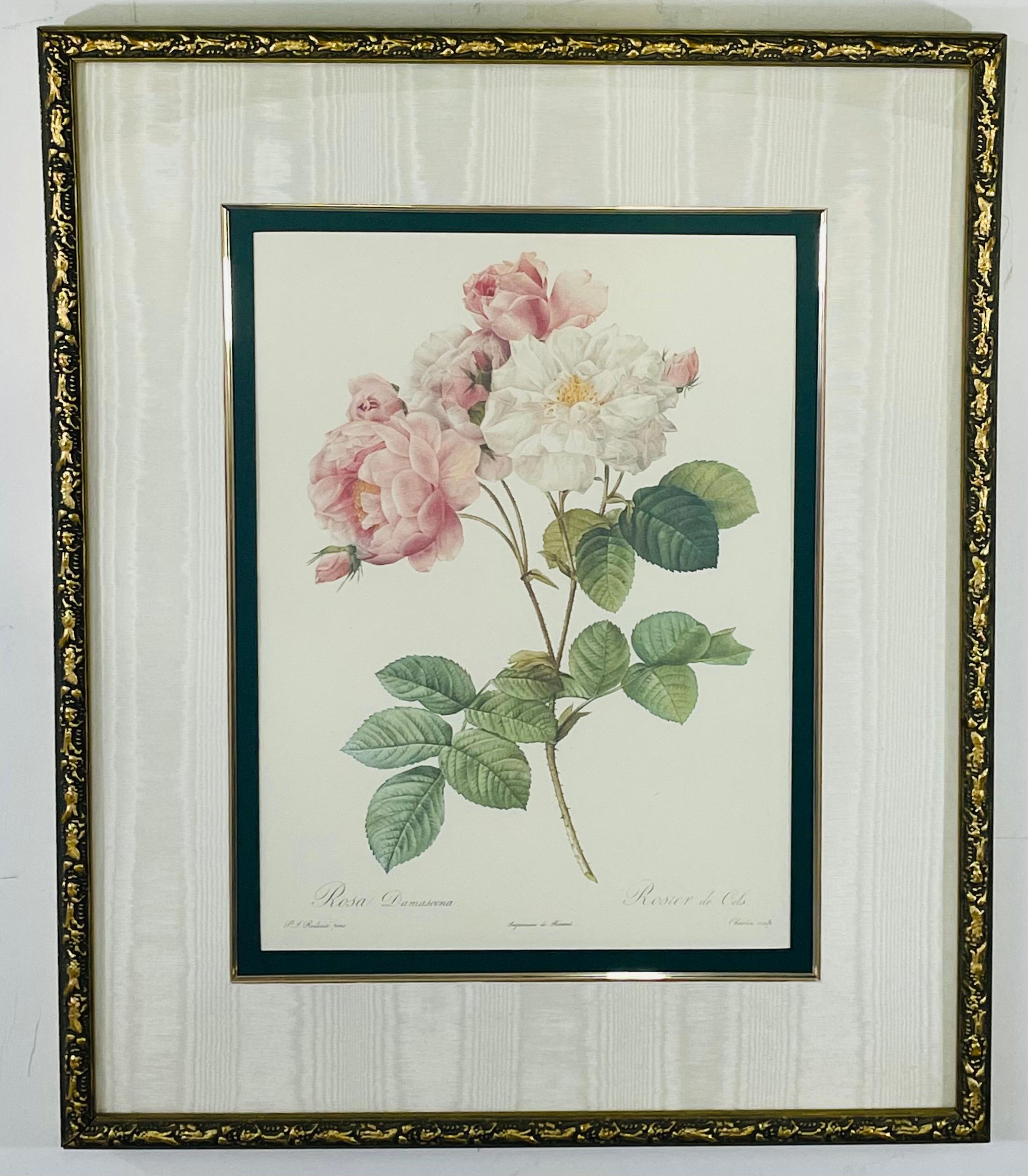From the private collection of the Bombay Company , these botanicals are a reproduction of the original antique botanical lithograph prints by Pierre-Jospeph Redoute (1759-1840) entitled 