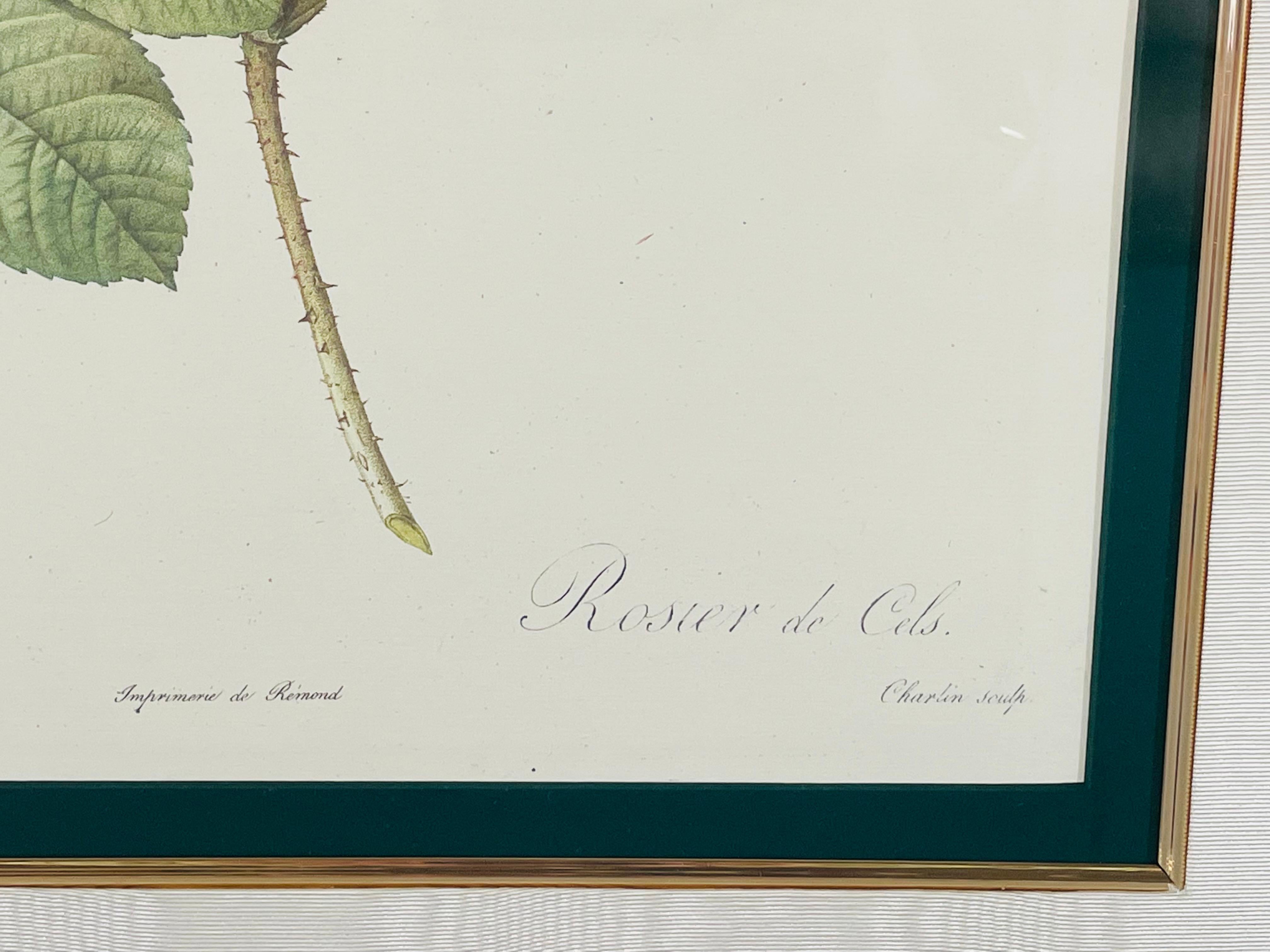 20th Century Pierre Redoute Botanical Lithograph Print, a Bombay & Co collection, a Pair