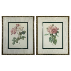 Retro Pierre Redoute Botanical Lithograph Print, a Bombay & Co collection, a Pair