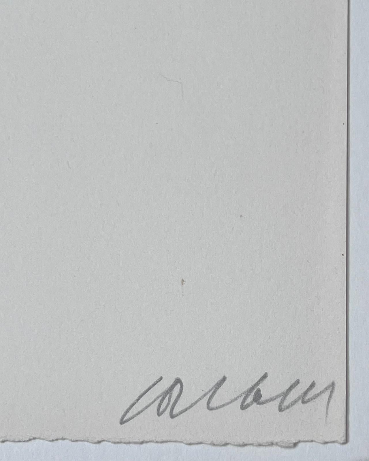 Lithograph n°14 en vente 2