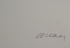 Sérigraphie no. 11 - Original Siebdruck, Handsigniert &27 / 75 (BNF #103)