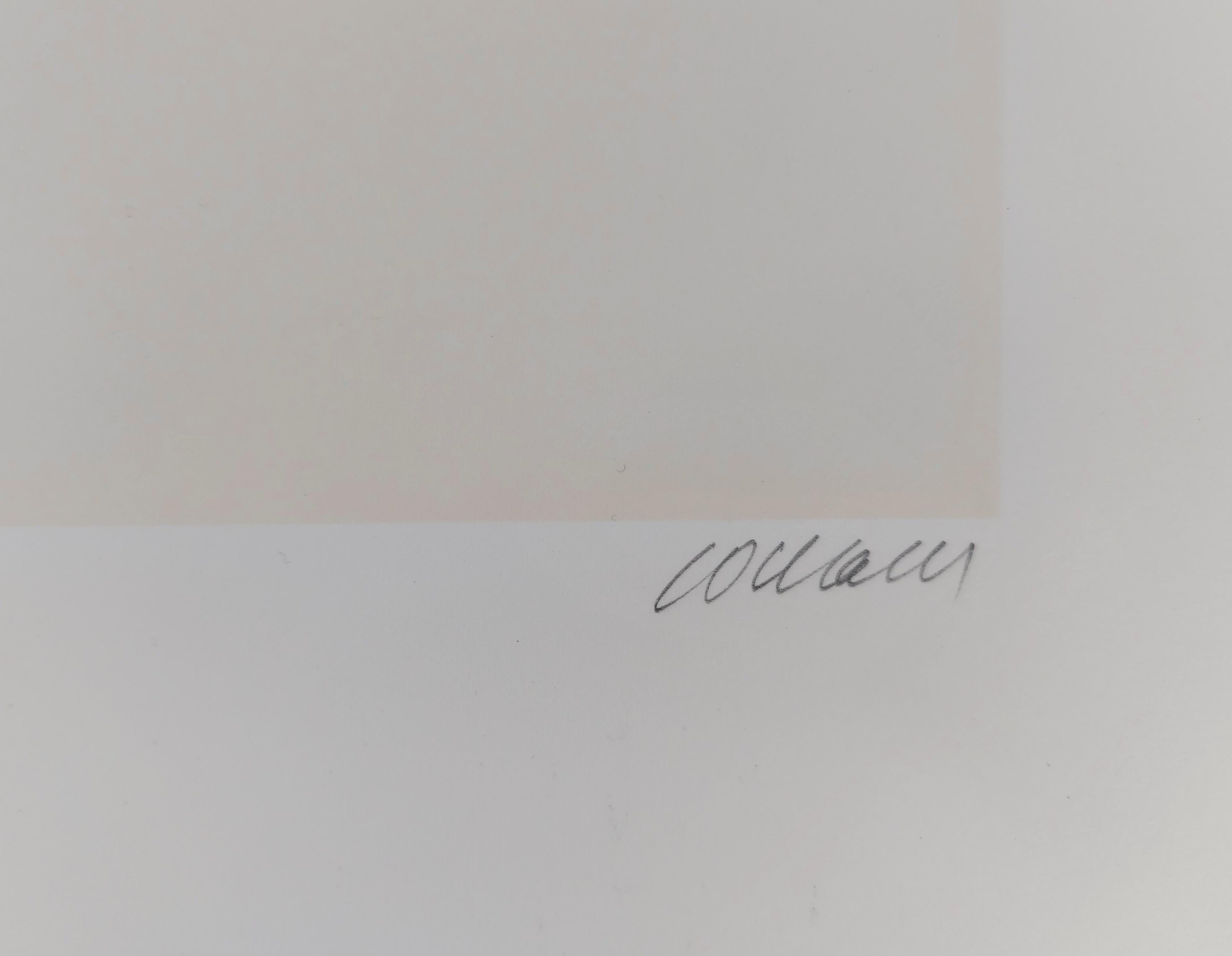 Srigraphie n° 21 - Sérigraphie, signée à la main (BNF #113) 1