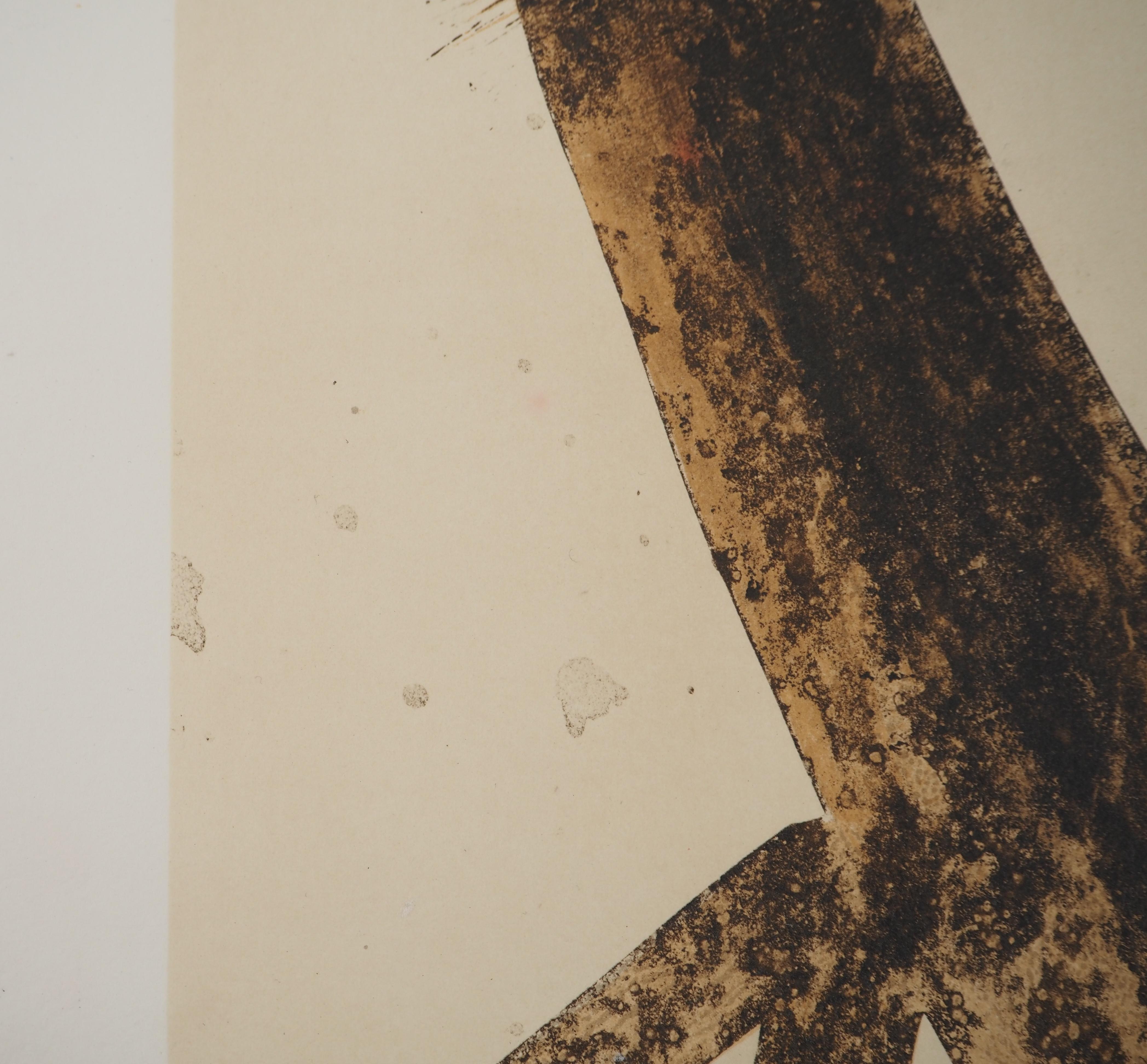 Tache de noix (Antagonismes) - Lithographie, signée et numérotée / 150 en vente 2