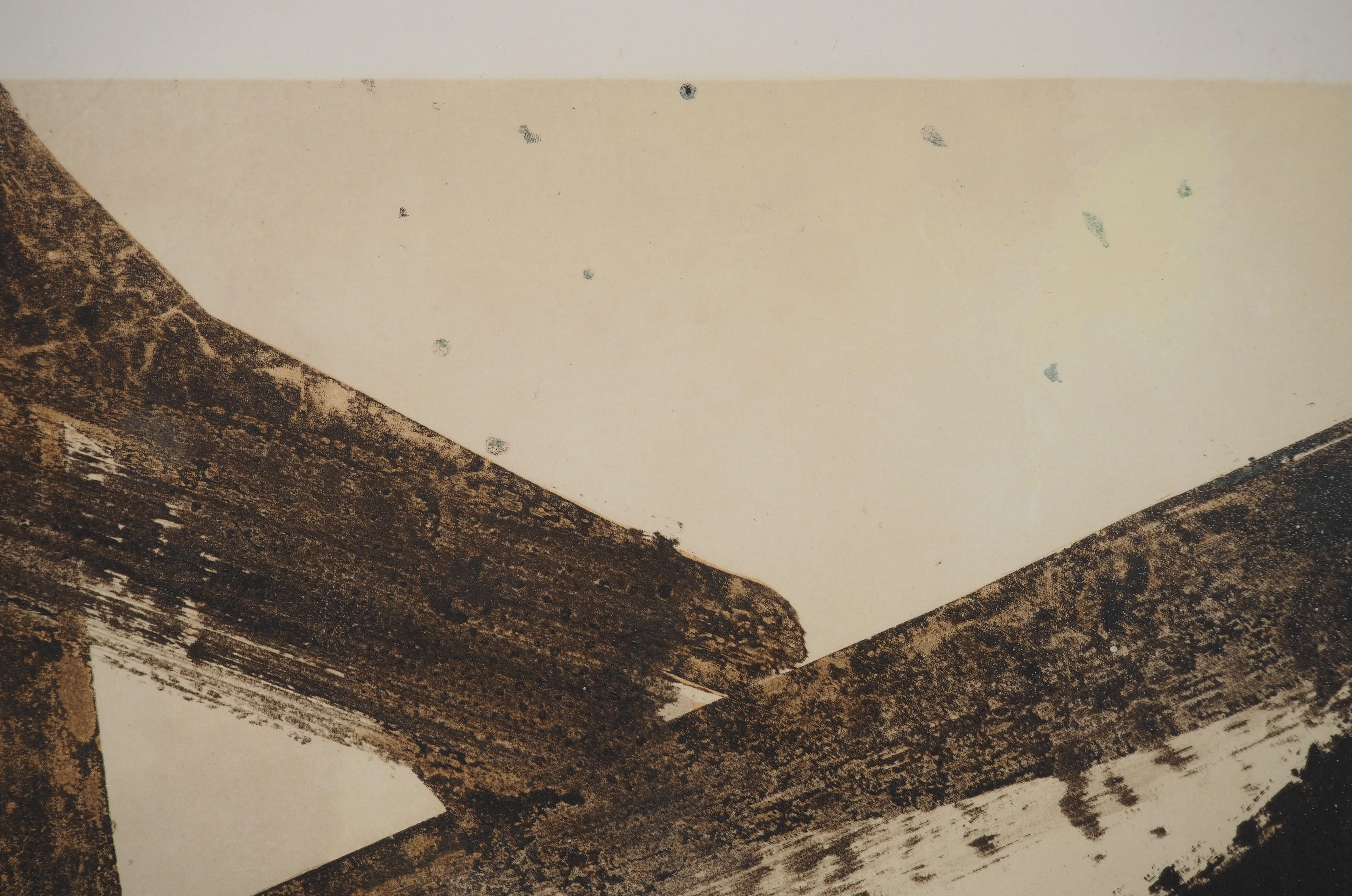 Tache de noix (Antagonismes) - Lithographie, signée et numérotée / 150 en vente 3