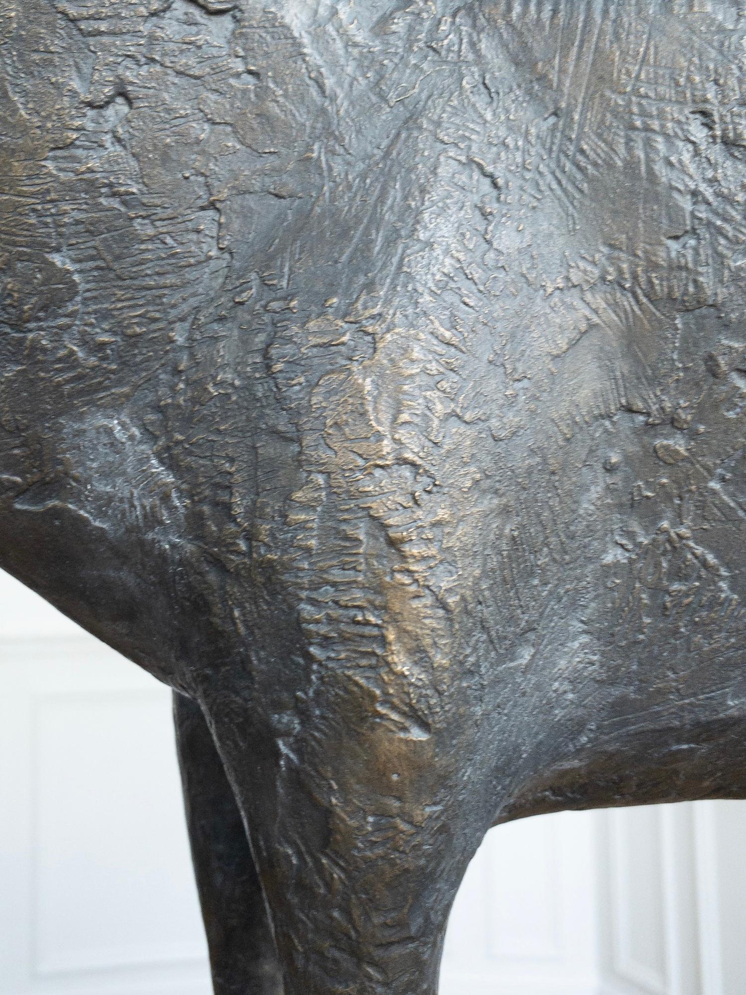 Bull IV by Pierre Yermia - Animal bronze sculpture, figurative, dark grey patina For Sale 9