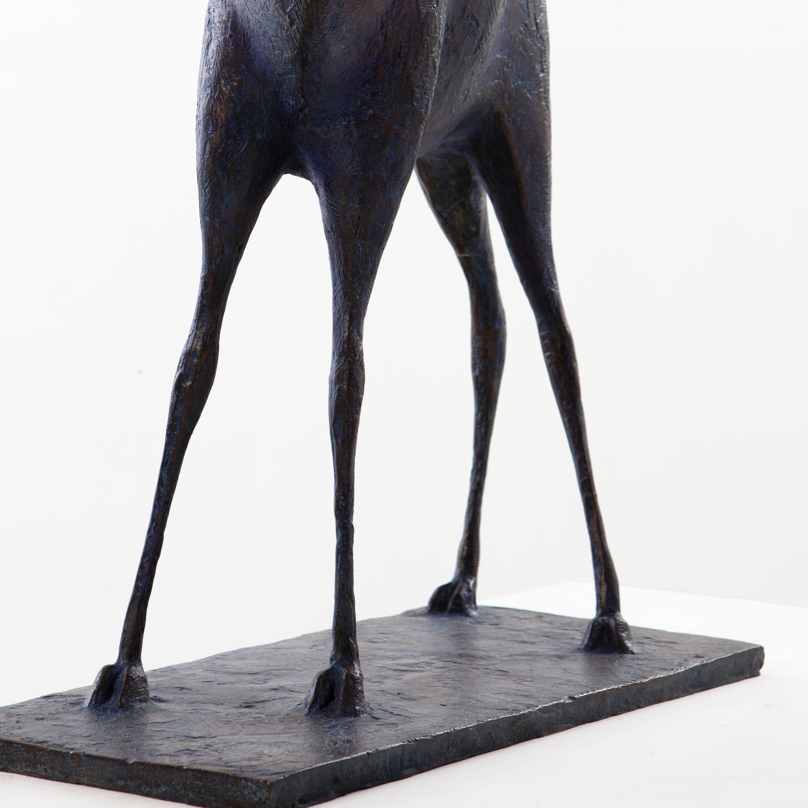 Bull IV by Pierre Yermia - Animal bronze sculpture, figurative, dark grey patina For Sale 6