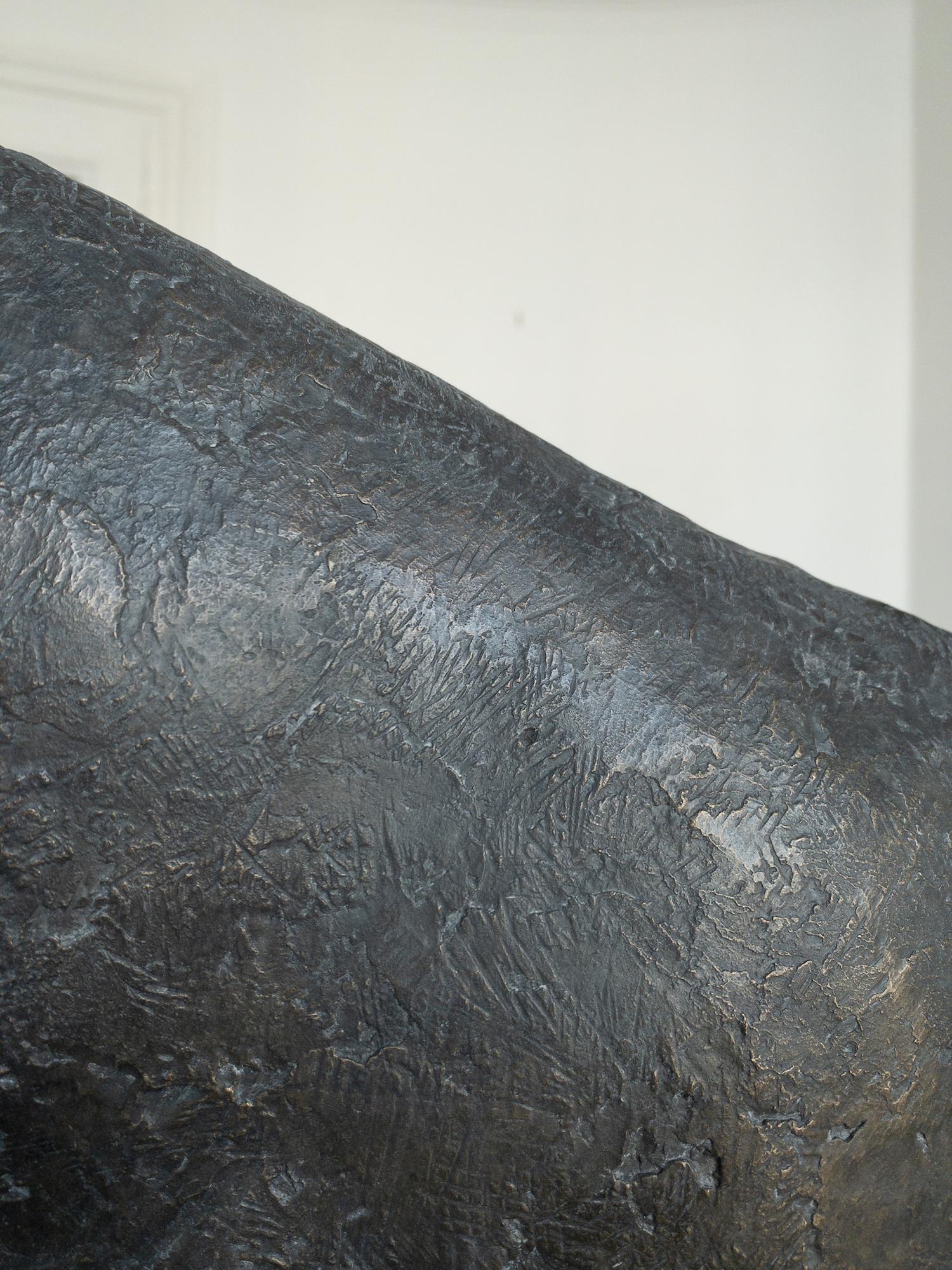 Bull IV by Pierre Yermia - Animal bronze sculpture, figurative, dark grey patina For Sale 8