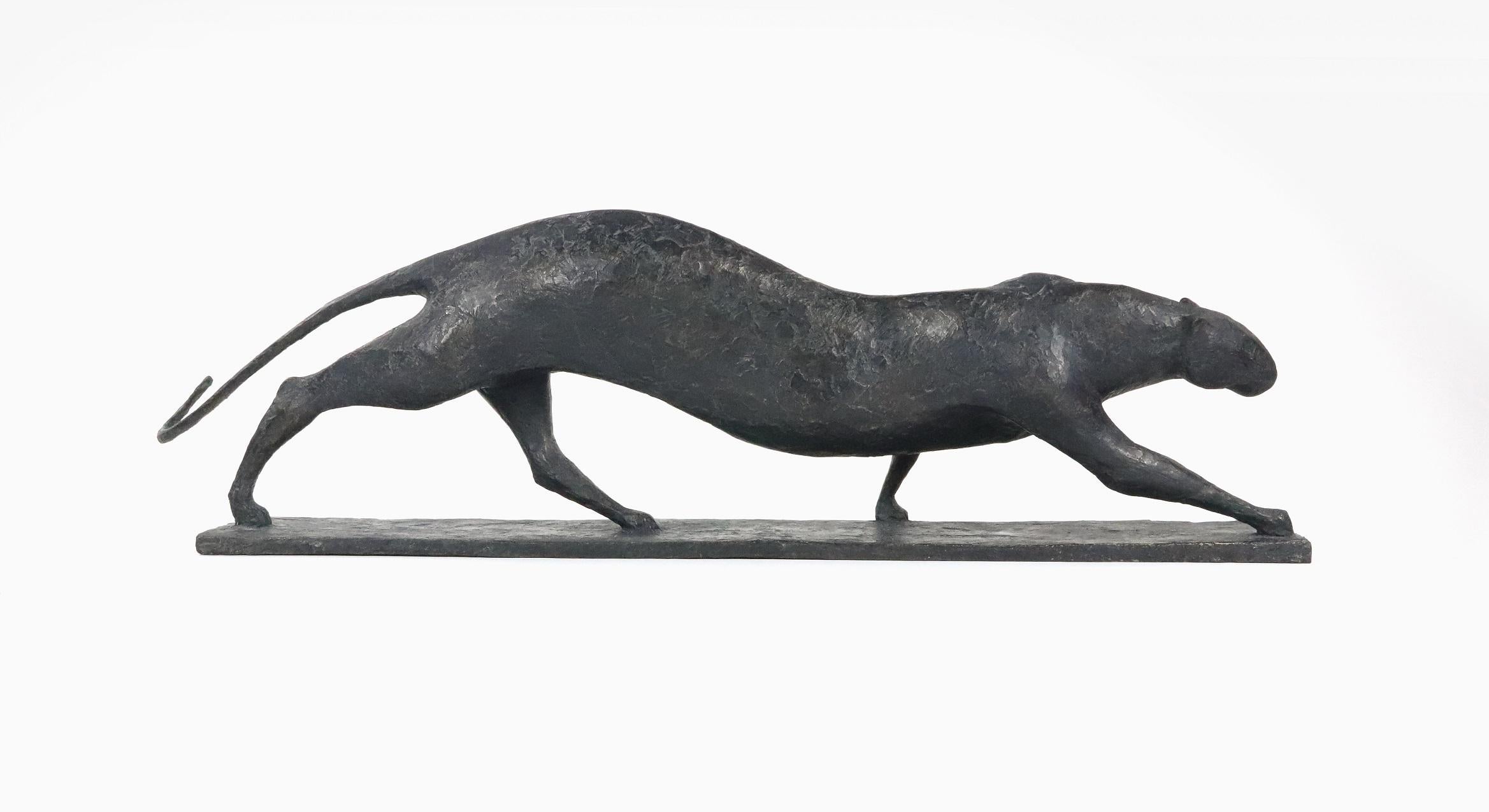 Feline IV is a bronze sculpture by French contemporary artist Pierre Yermia, dimensions are 24 × 90 × 20 cm (9.4 × 35.4 × 7.9 in). 
The sculpture is signed and numbered, it is part of a limited edition of 8 editions + 4 artist’s proofs, and comes
