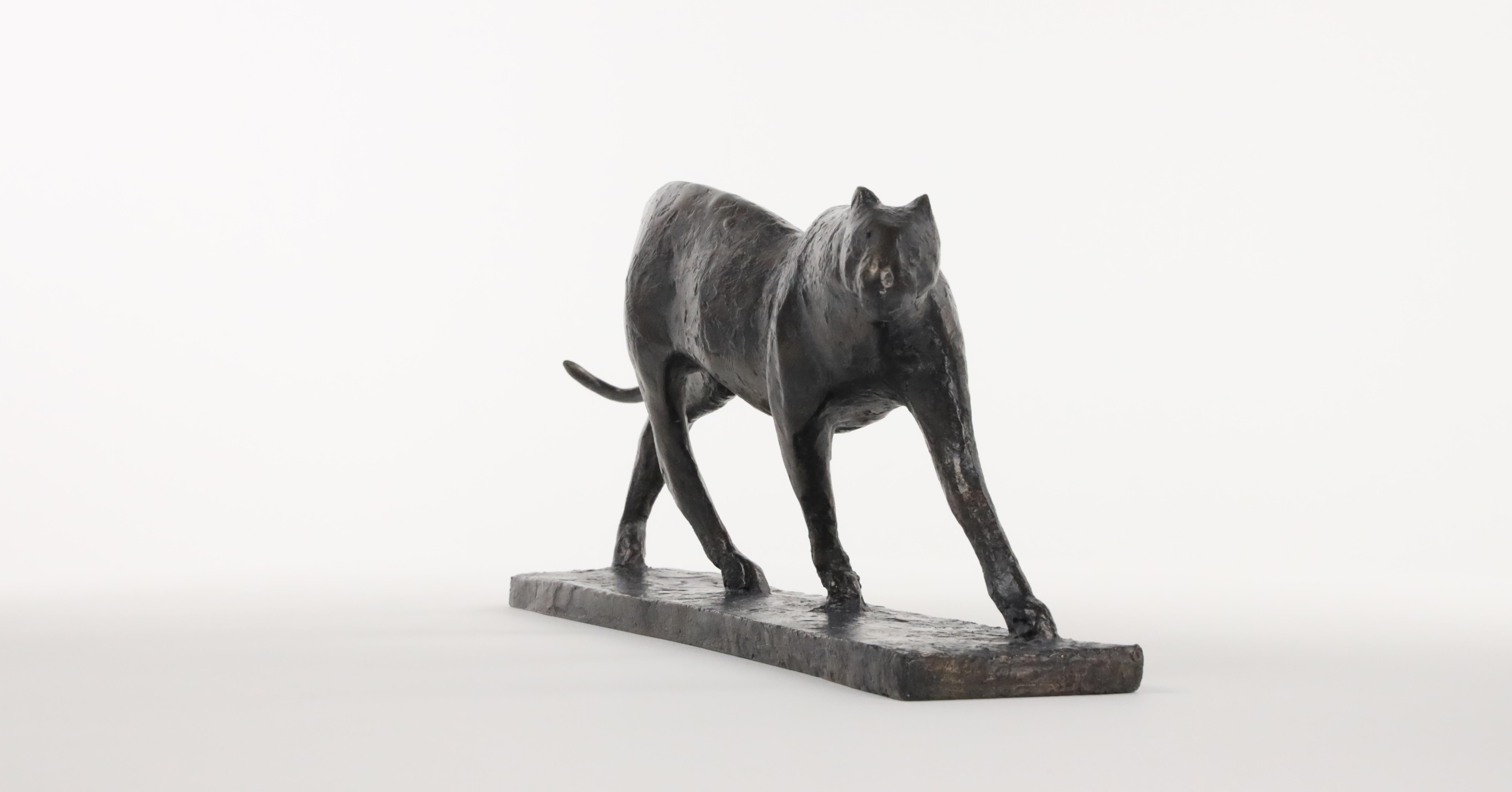 Felino V de Pierre Yermia - Escultura animal contemporánea, bronce en venta 4