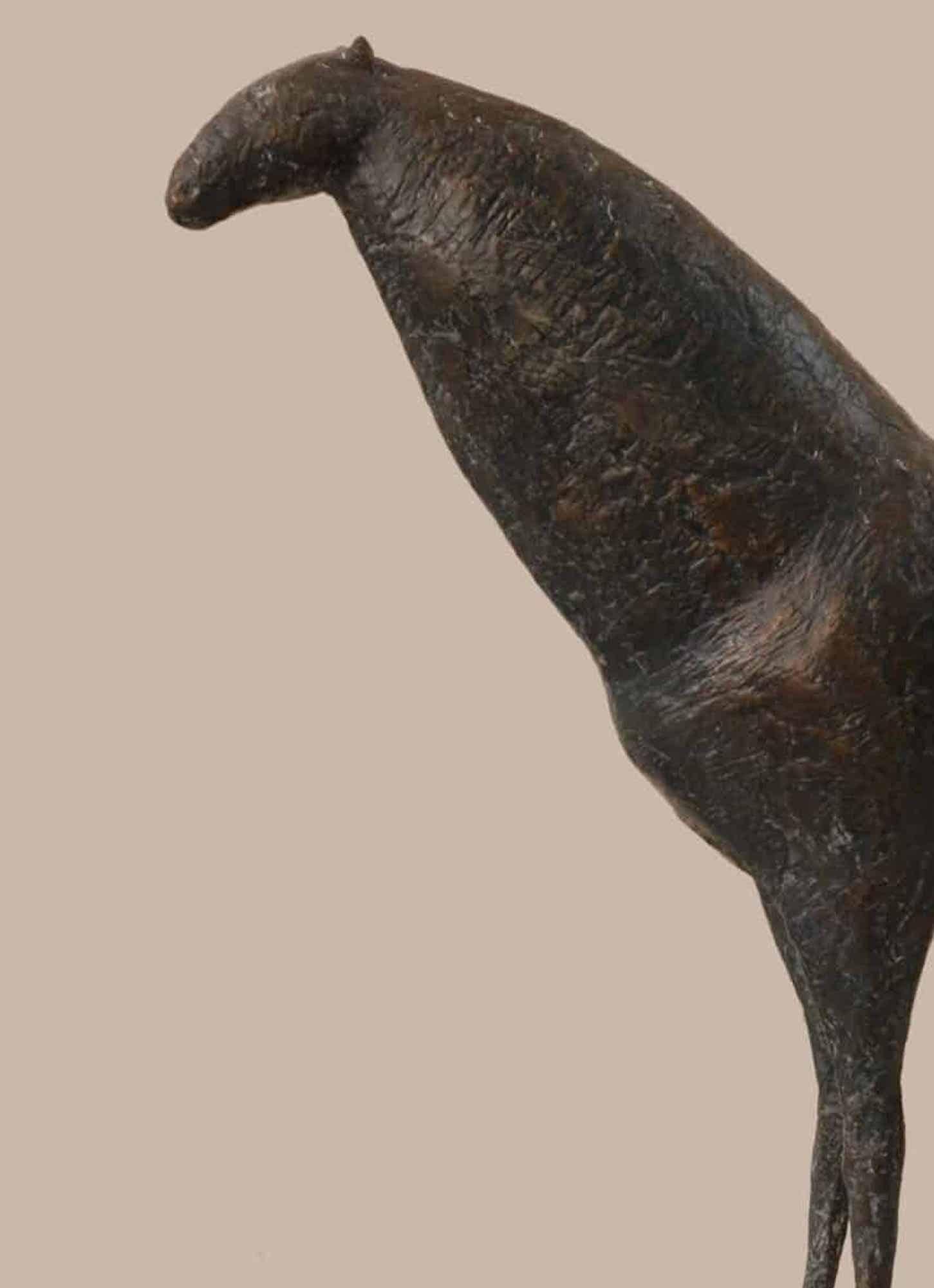 Caballo IX de Pierre Yermia - Escultura animal de bronce, elegante, pátina oscura, curva en venta 3