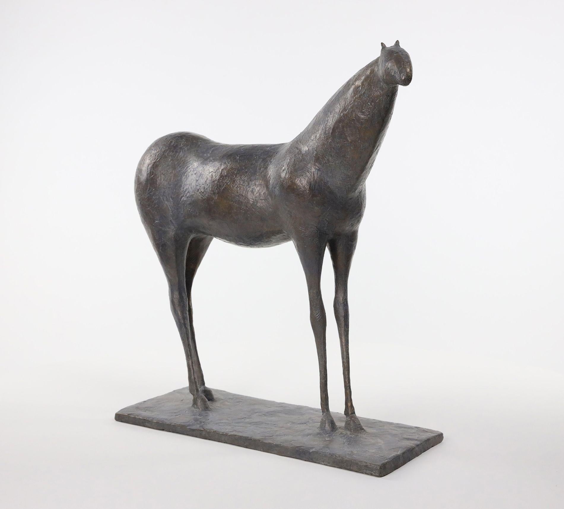 Cheval XII par Pierre Yermia - Sculpture animalière en bronze, élégance, sauvage, force en vente 1