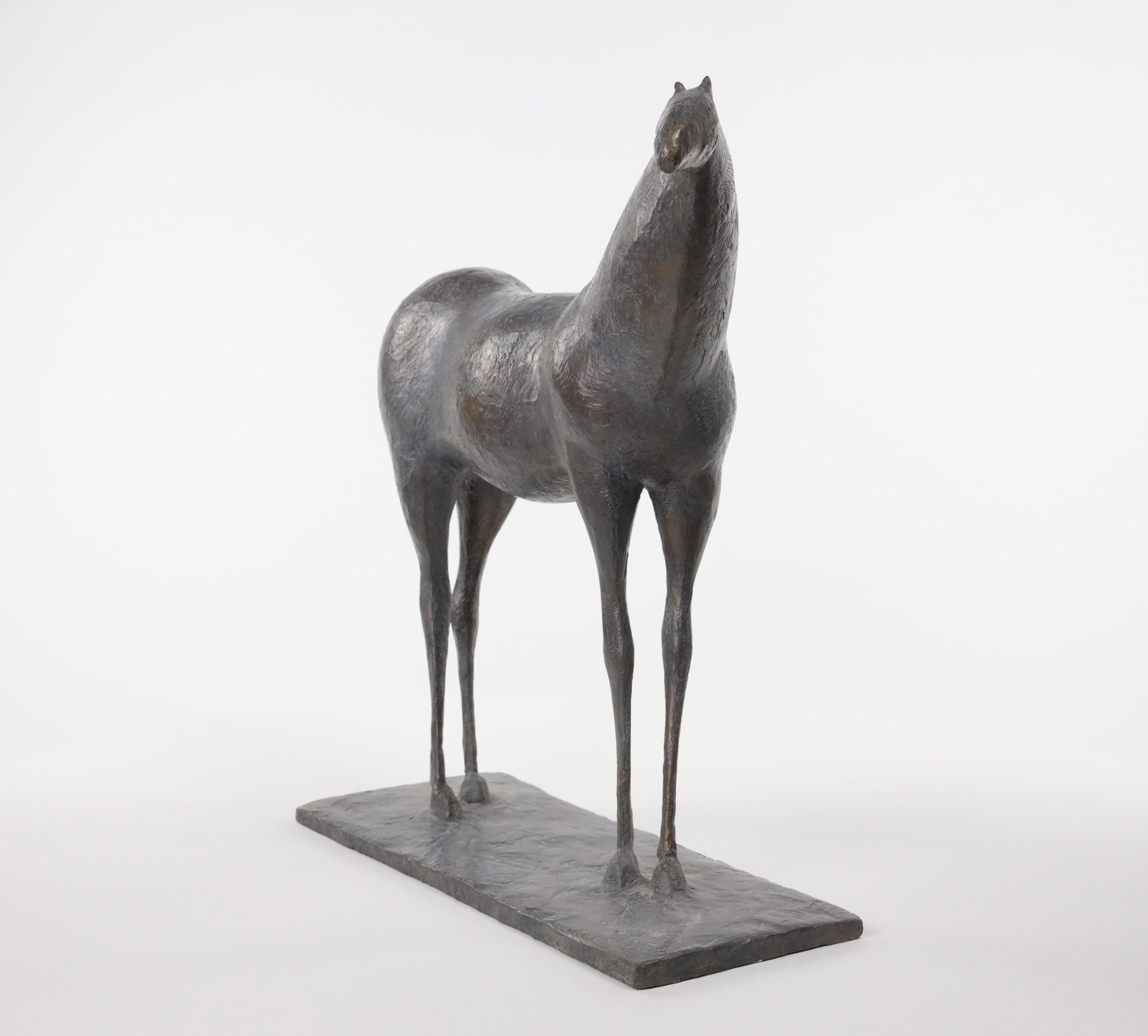Caballo XII de Pierre Yermia - Escultura animal en bronce, elegancia, salvaje, fuerza en venta 7