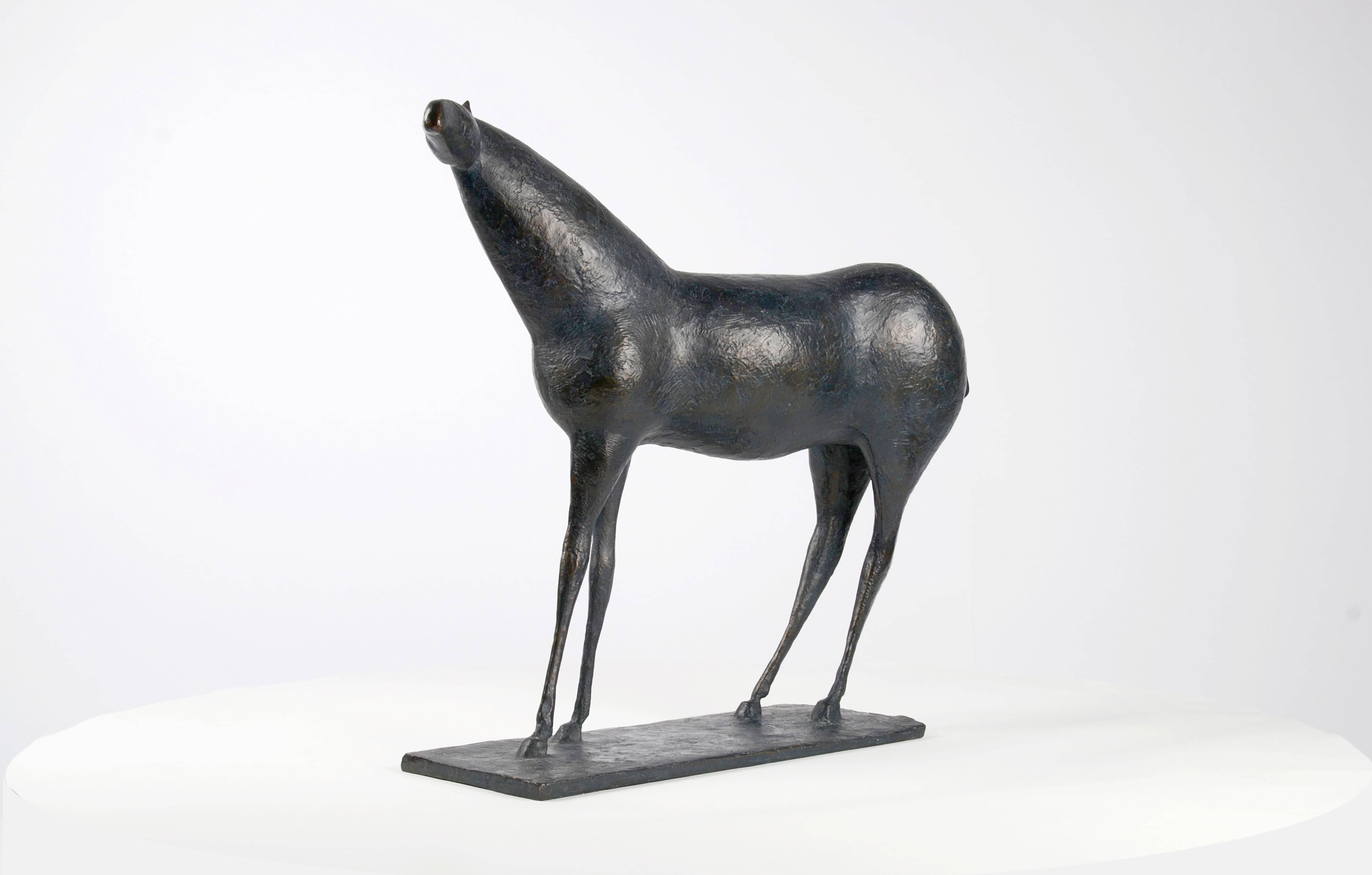 Horse XIII by Pierre Yermia - Animal bronze sculpture, grey & blue patina For Sale 7