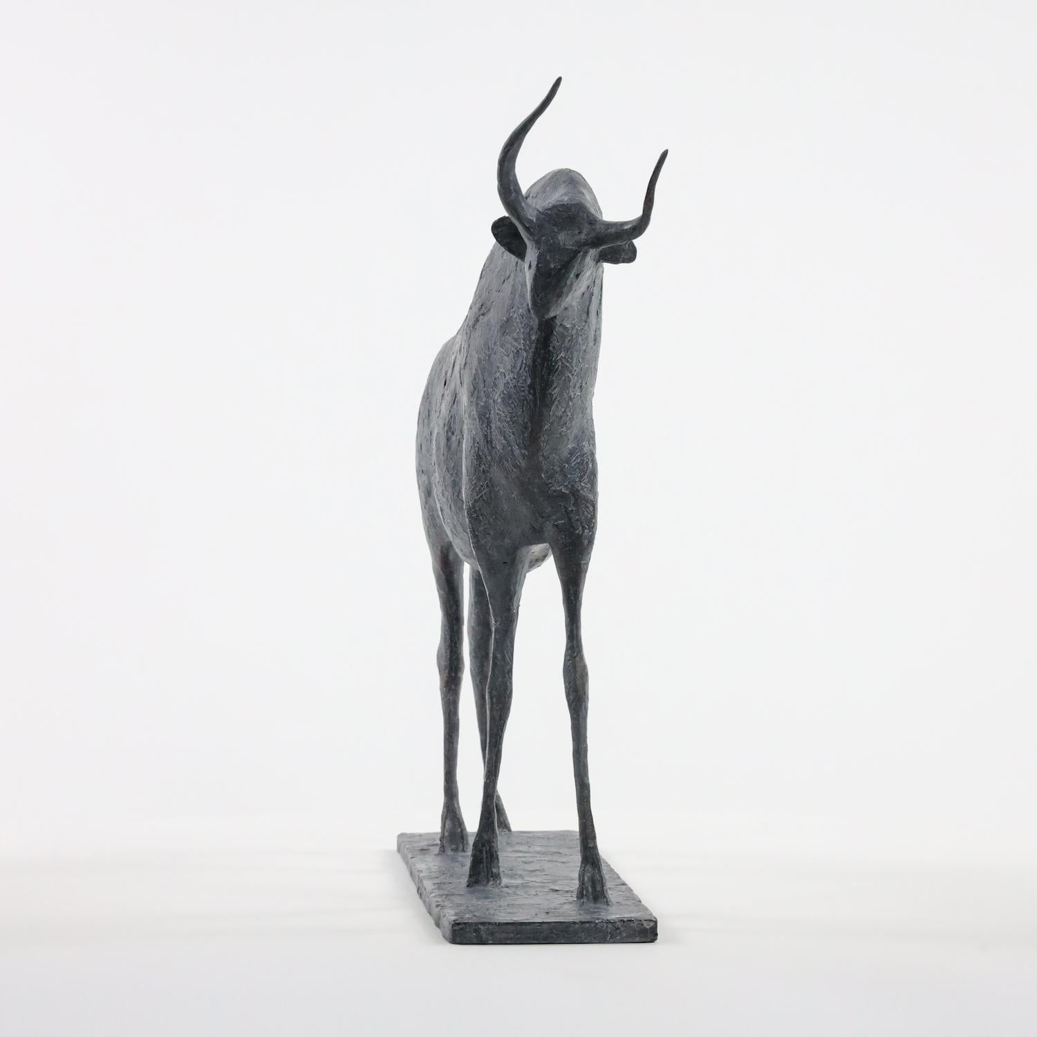 Pequeño Toro I de Pierre Yermia - Escultura animal de bronce, figurativa, pátina gris en venta 4
