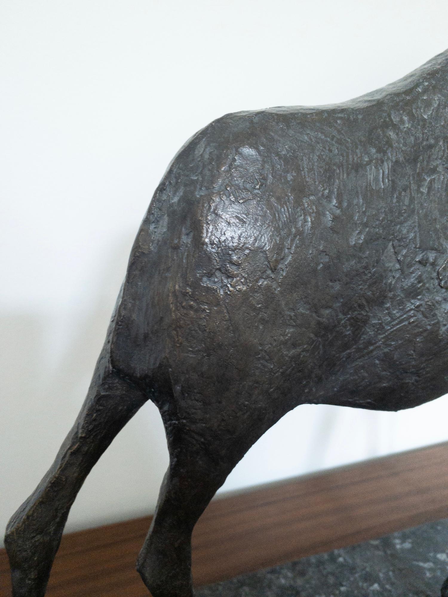 Pequeño Toro I de Pierre Yermia - Escultura animal de bronce, figurativa, pátina gris en venta 8