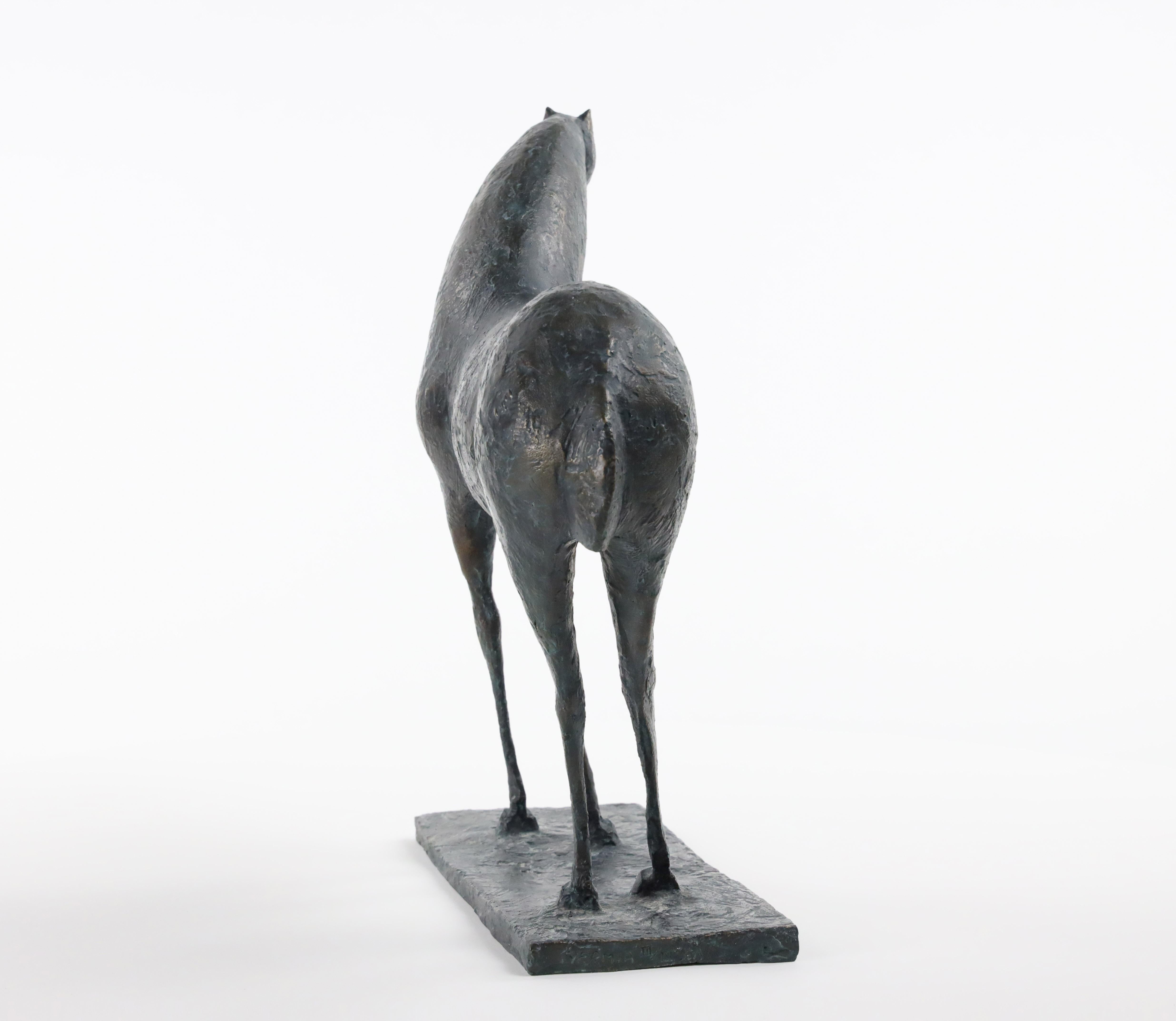 Small Horse I di Pierre Yermia - Scultura animale in bronzo, elegante, curva, selvaggia in vendita 5