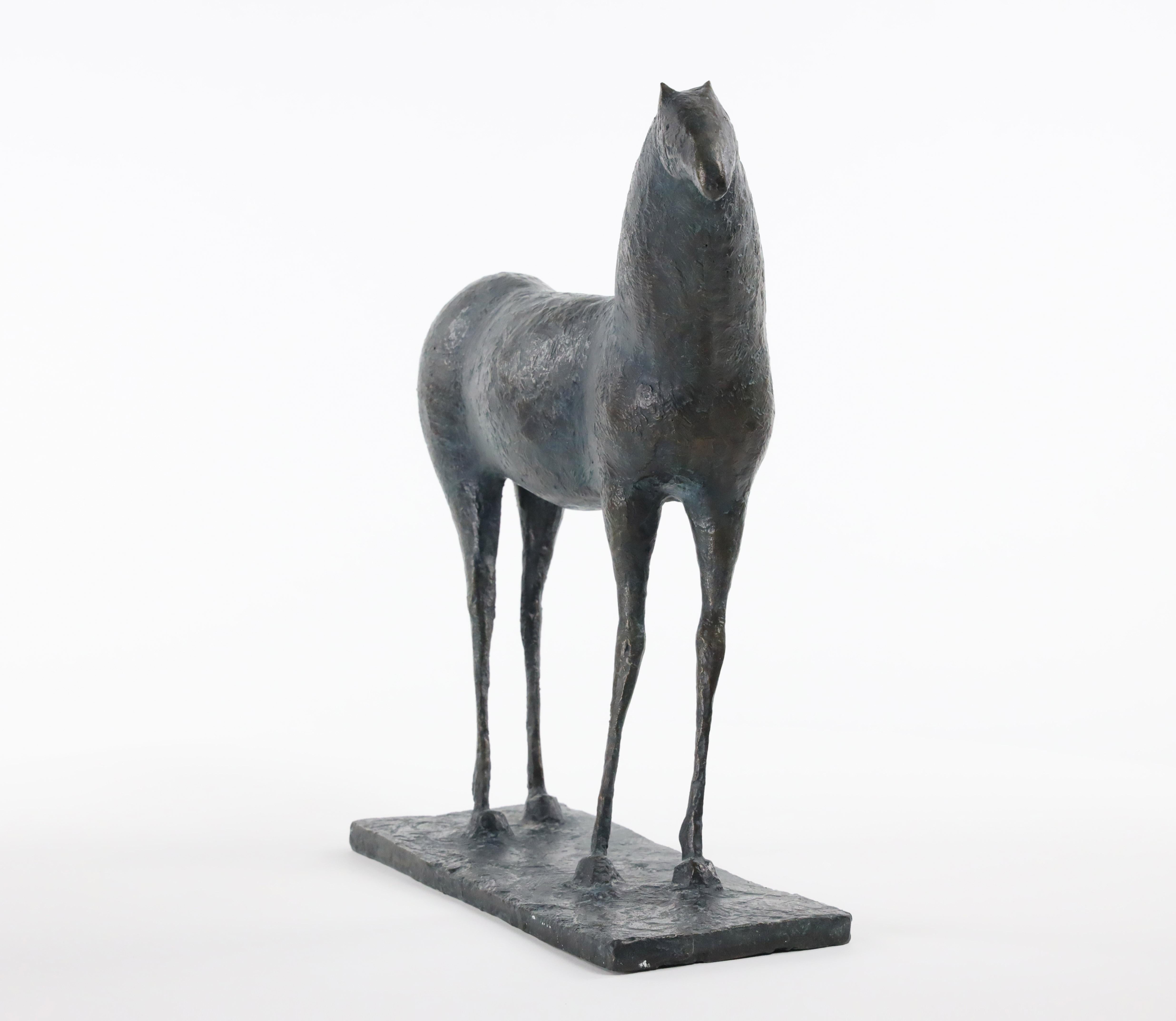 Small Horse I di Pierre Yermia - Scultura animale in bronzo, elegante, curva, selvaggia in vendita 7