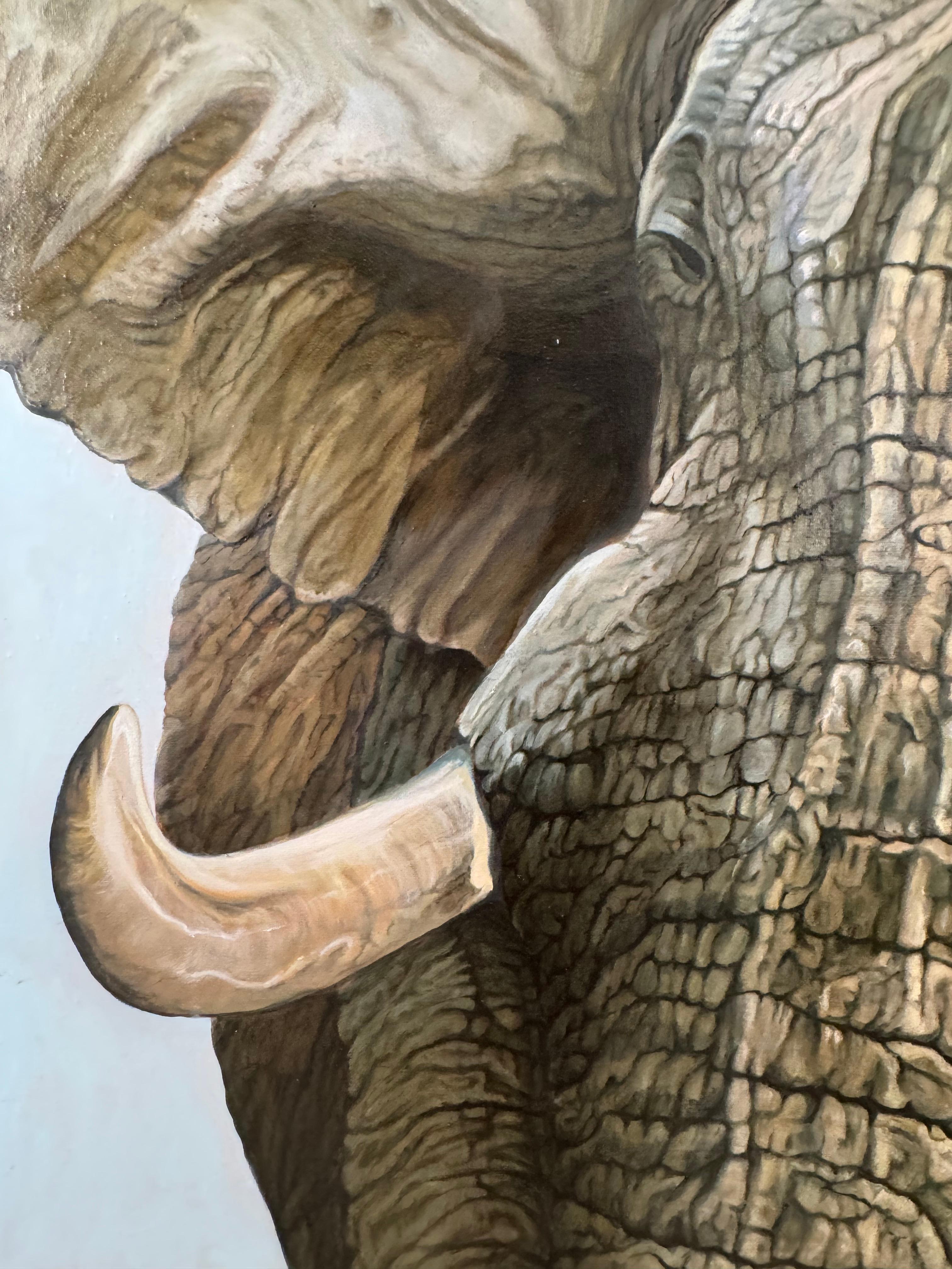 Portrait d'un éléphant