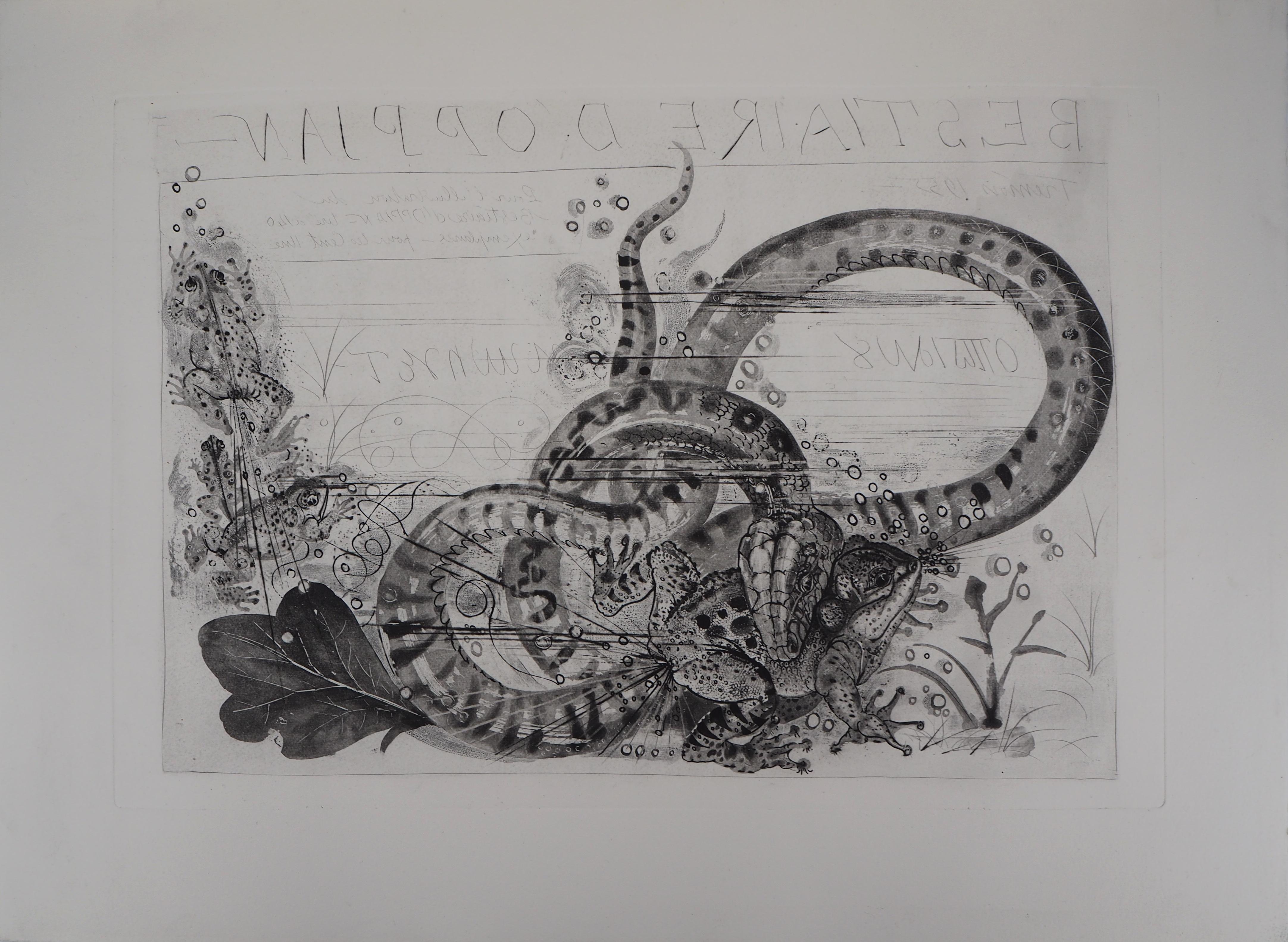 Oppian : Snake and Toad - Original Etching - Gray Animal Print by Pierre-Yves Trémois