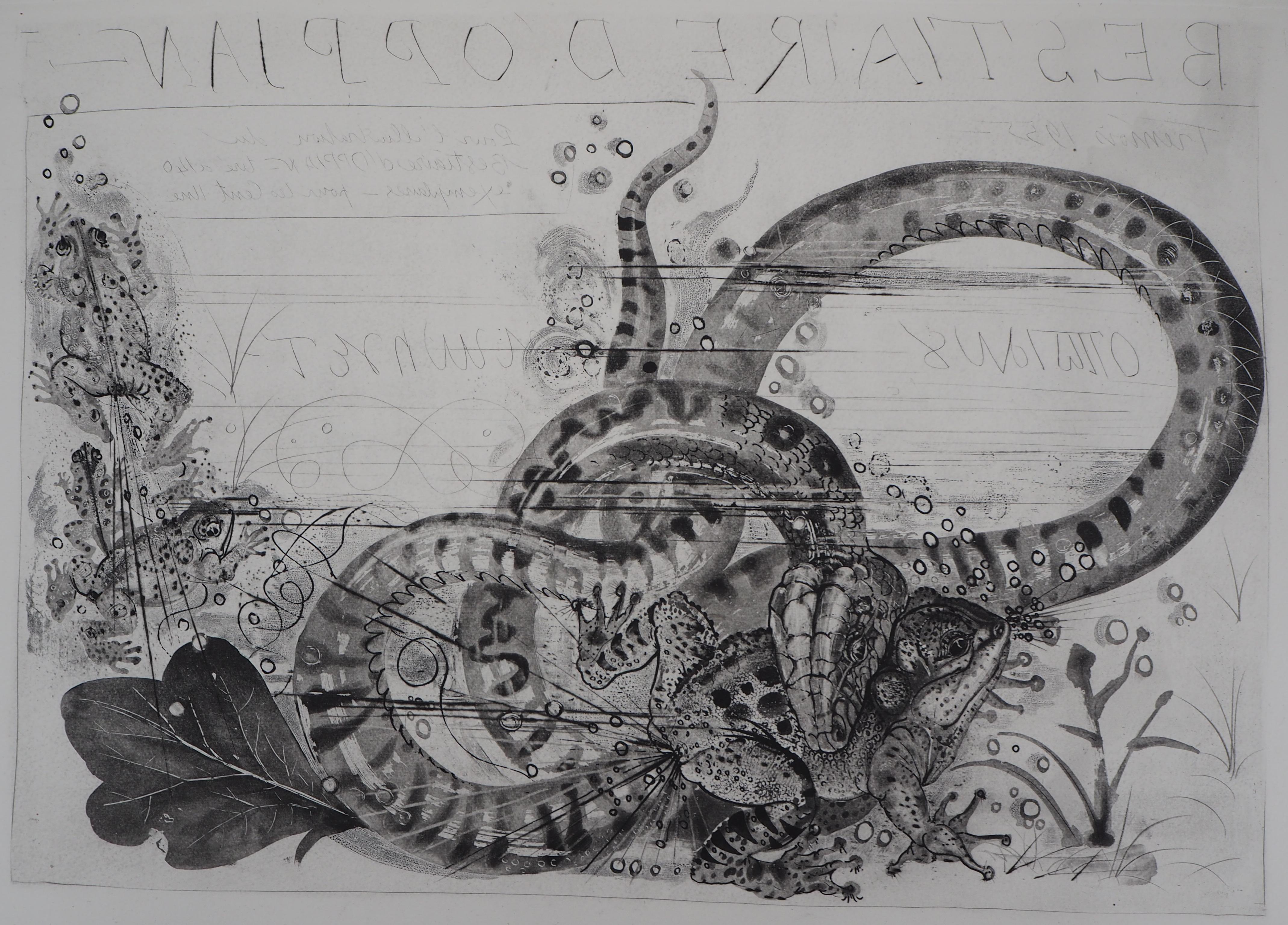 Pierre-Yves TREMOIS
Oppian : Snake and Toad, 1955

Original etching
Printed signature in the plate
On vellum 76 x 56 cm (c.30 x 22 inch)

Excellent condition