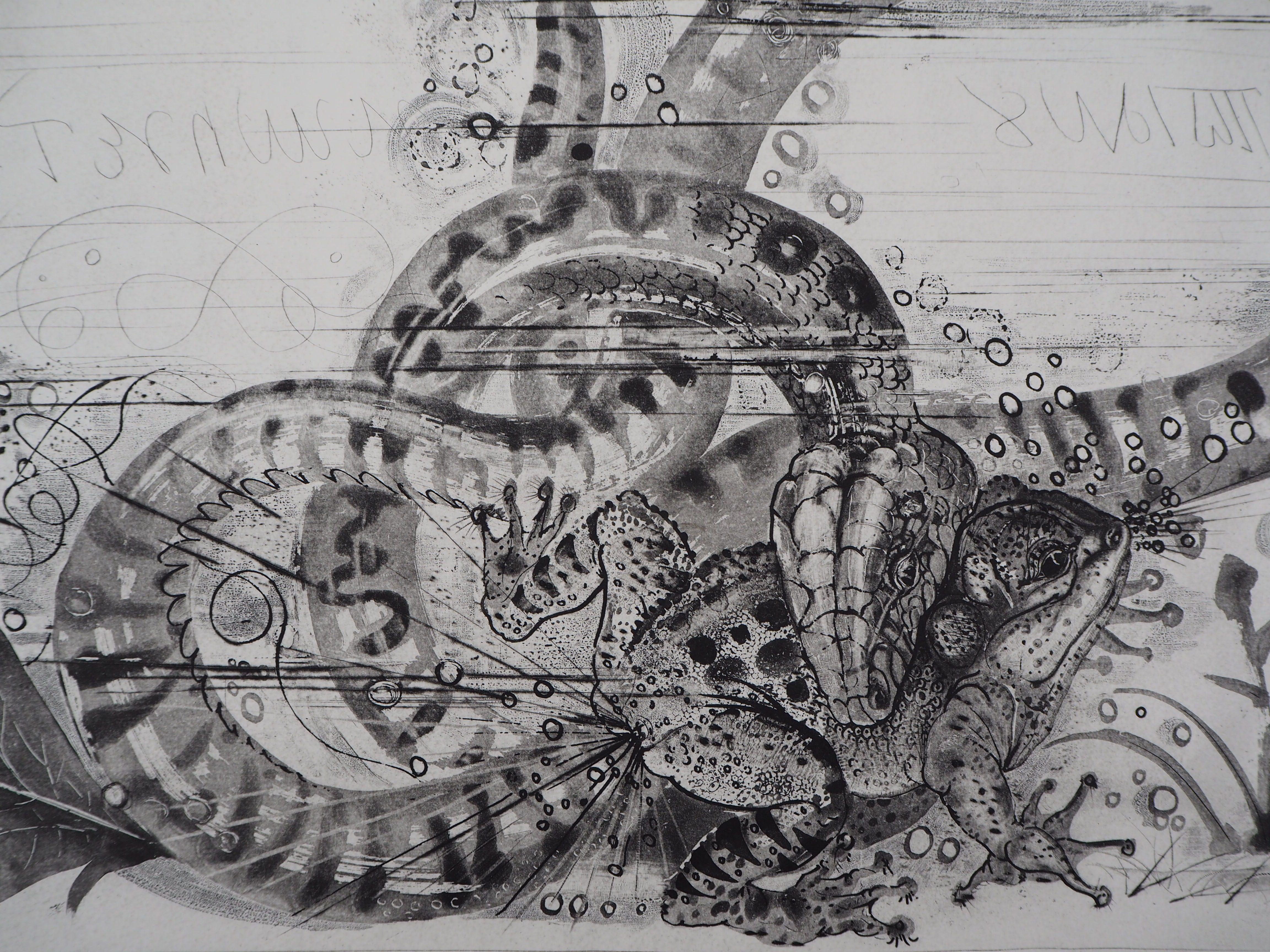Pierre-Yves Trémois Animal Print - Oppian : Snake and Toad - Original Etching