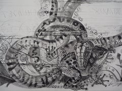 Vintage Oppian : Snake and Toad - Original Etching