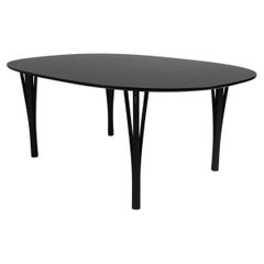 Piet Hein & Bruno Mathsson Ellipse Dining Table, black oak, Denmark