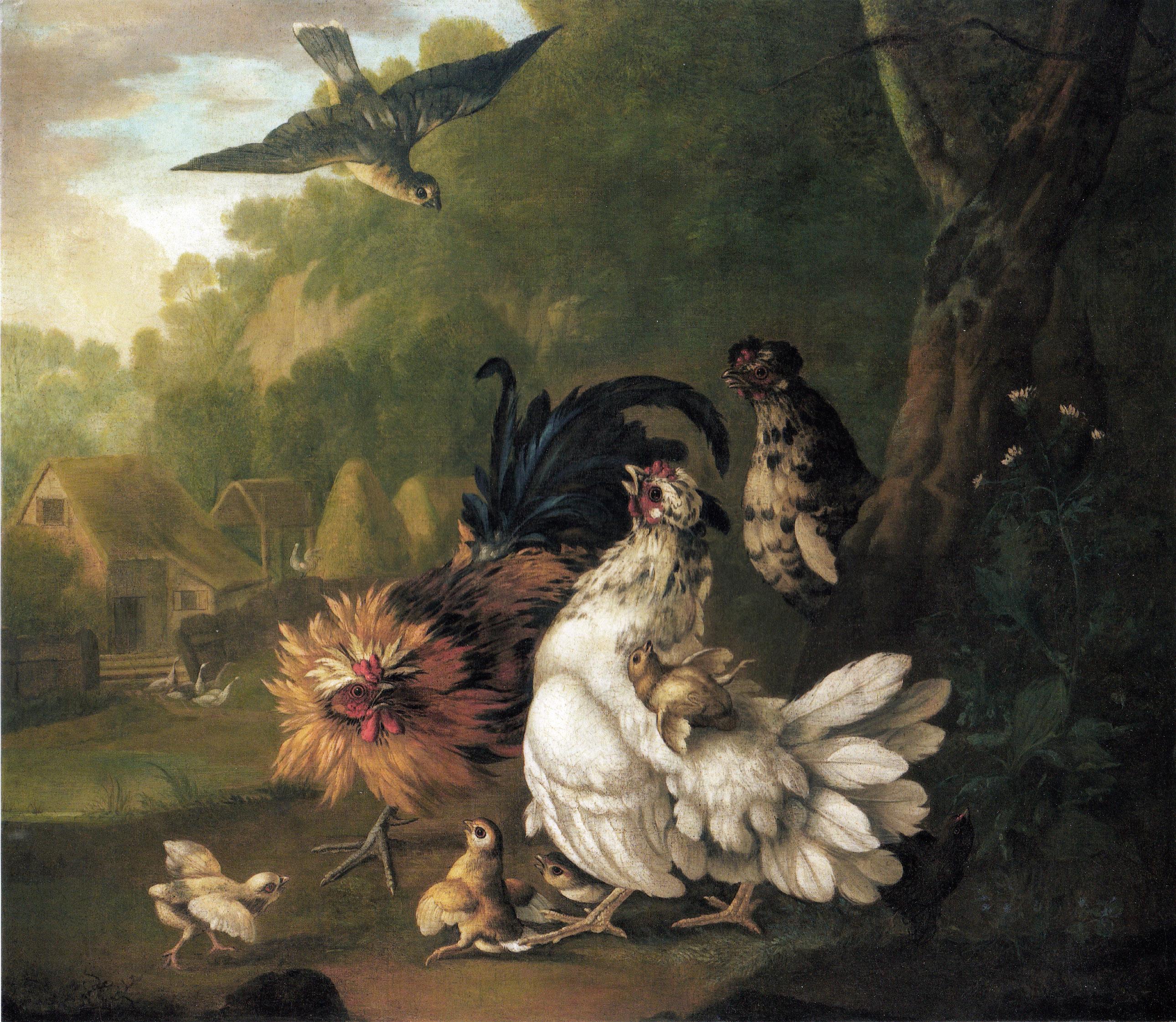 An assembly of farmyard fowl and other birds - Still Life - Painting by Pieter Casteels III