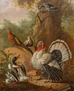 Türkei, Enten, Enten und verschiedene Vögel in einer Waldlandschaft, 18. Jahrhundert