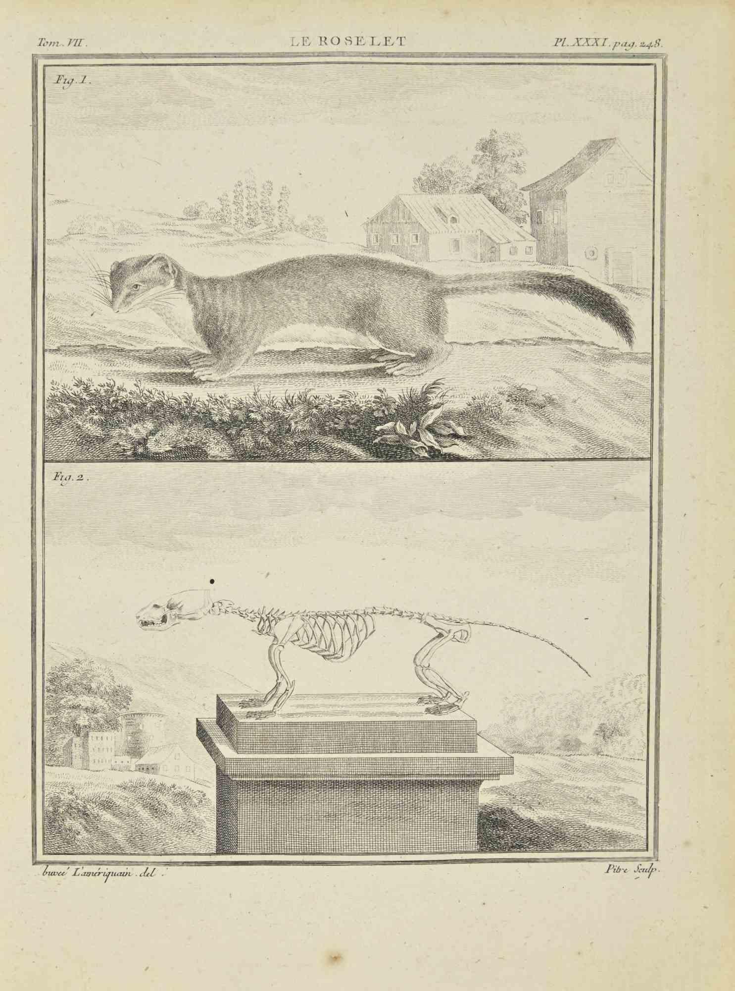 Le Roselet - Acquaforte - 1771