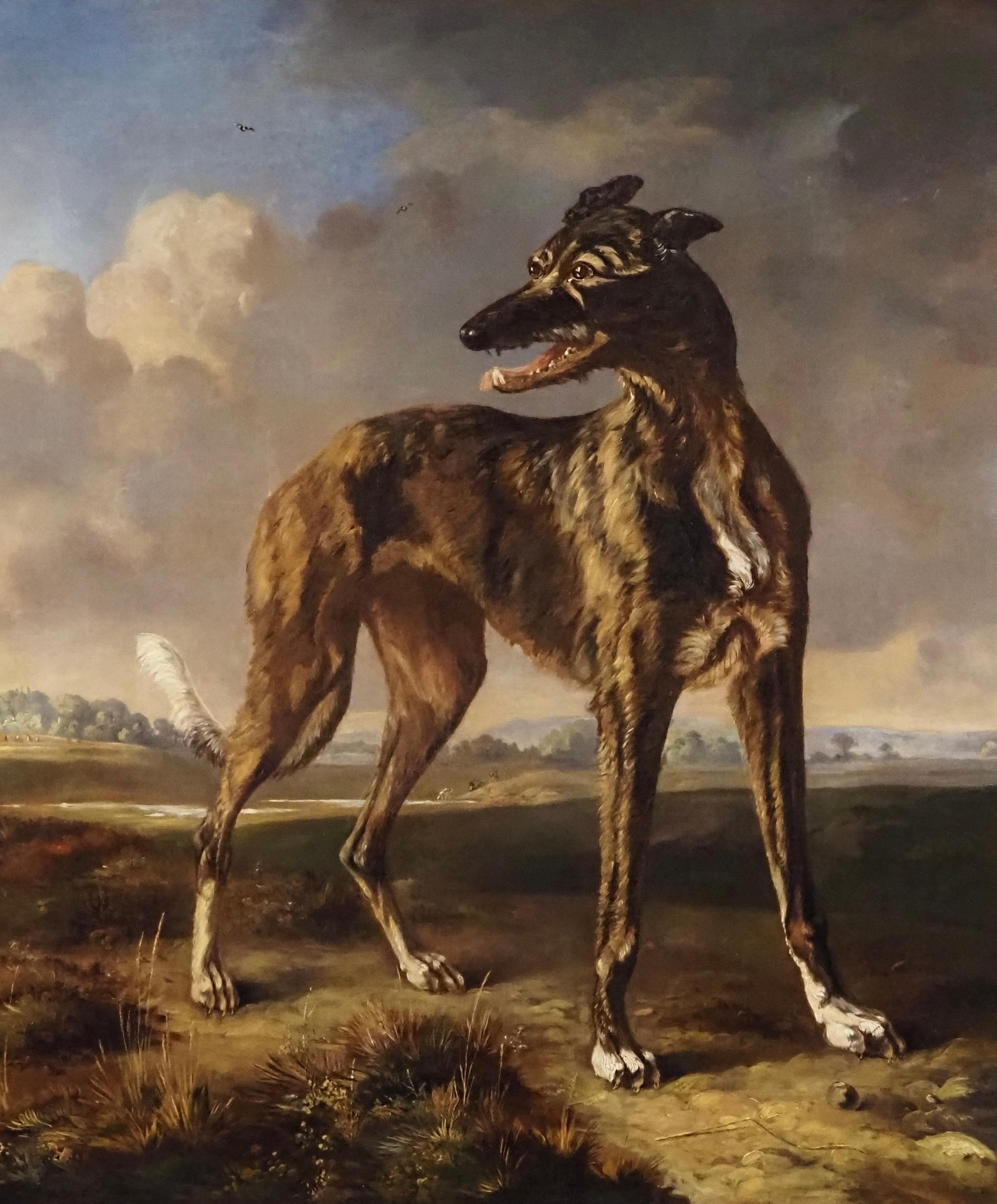 A greyhound in a landscape - Painting by Pieter Frederick Van Os
