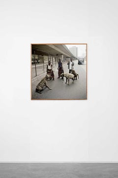 The Hyena Men of Abuja, Lagos, Nigeria, 2007- Pieter Hugo (Colour Photography)