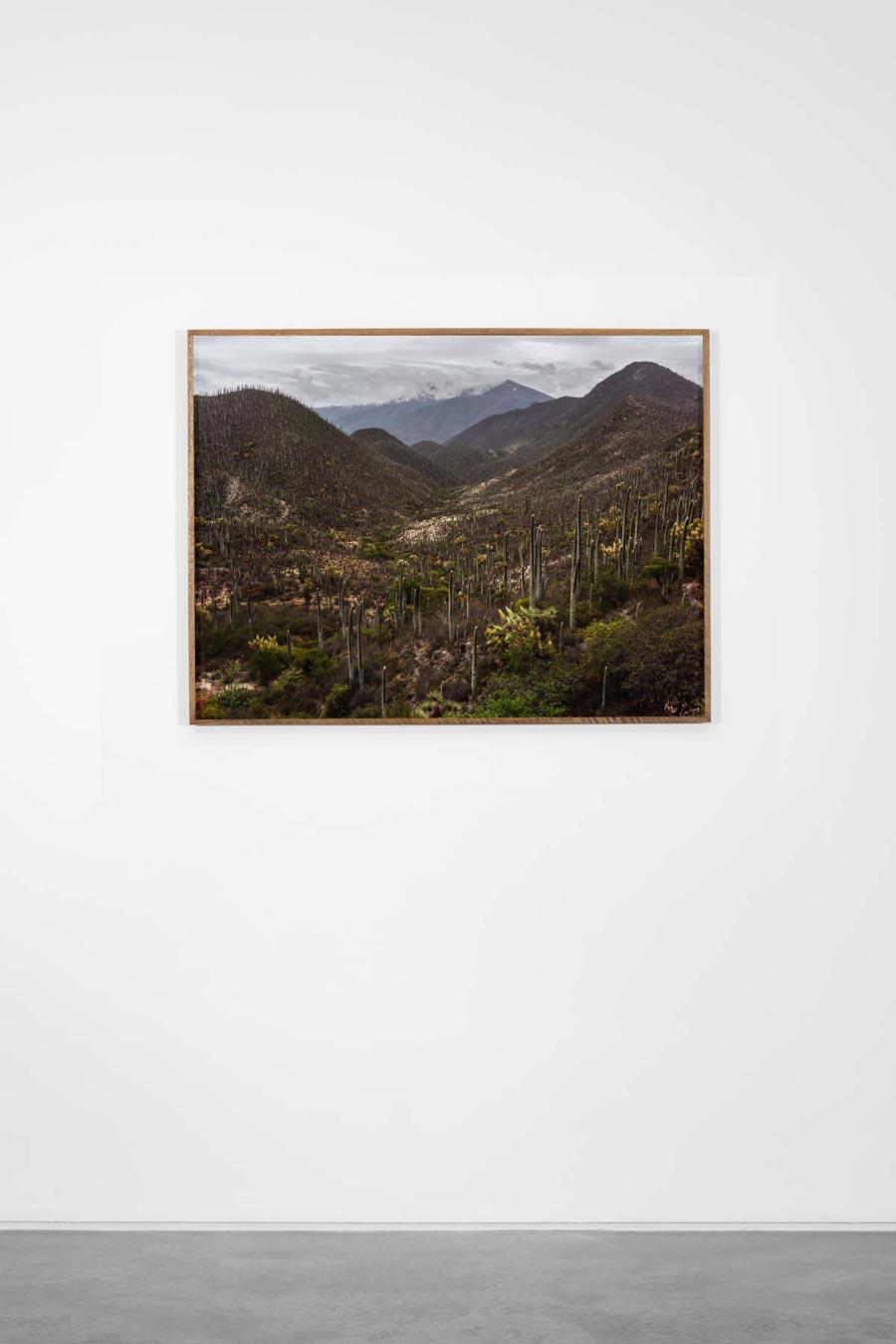 La strada verso casa, tra Città del Messico e Oaxaca de Juárez, 2019 - Pieter Hugo in vendita 1