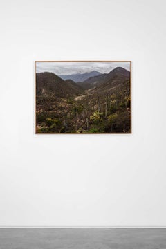 The Road Home, Between Mexico City and Oaxaca de Juárez, 2019 - Pieter Hugo