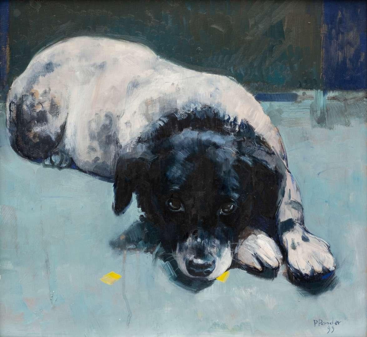 Pieter Pander Animal Painting - Resting dog Stip (Spot)
