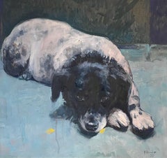 Stip Dog Oil Painting on Panel Animal Portrait Nature Sketch In Stock