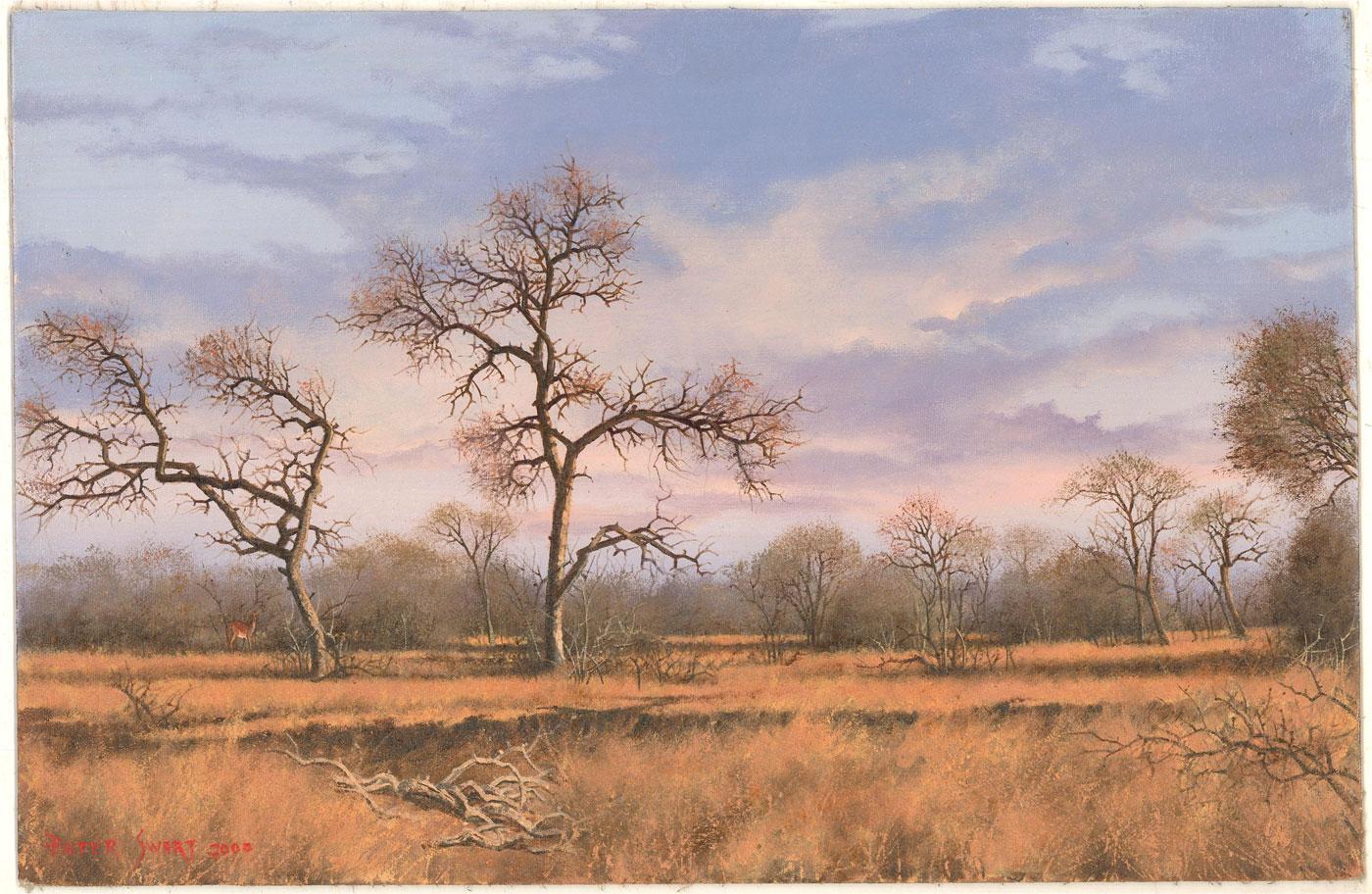 Pieter Swart - Signed and dated 2000 Oil, Bushveld Dawn For Sale 1