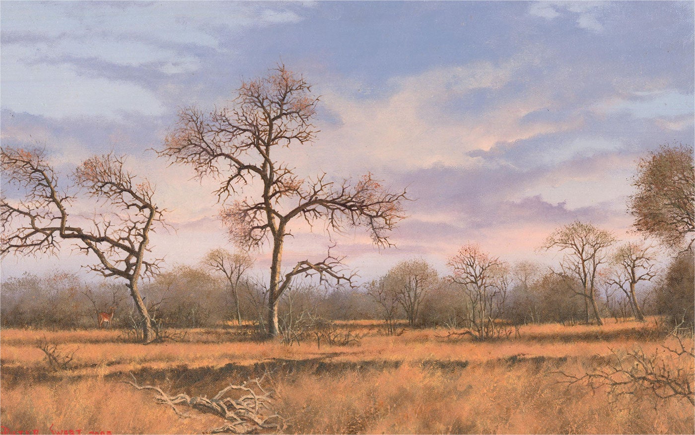 A stunning oil on board of the Bushveld Dawn, in the distance of the vast landscape we can see a single impala looking inquisitively at the viewer. The artist has signed and dated to the lower left. On board.