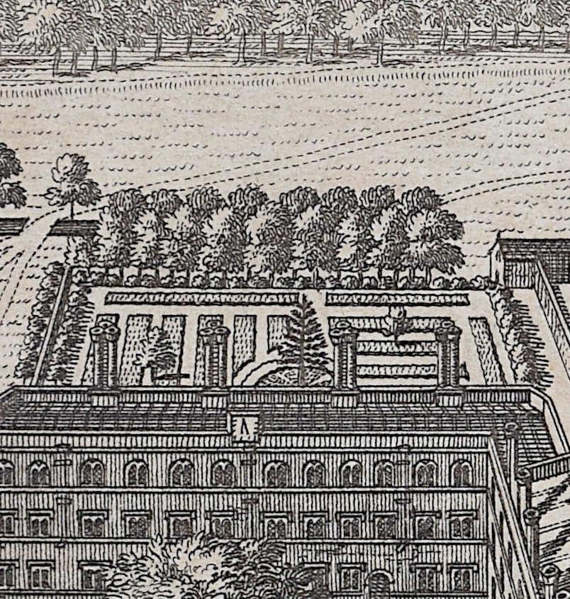 Gravure Pieter van der Aa d'après David Loggan, Cambridge - Réalisme Print par Pieter Van Der Aa
