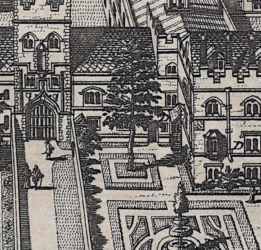 Gravure Pieter van der Aa d'après David Loggan, Cambridge en vente 2