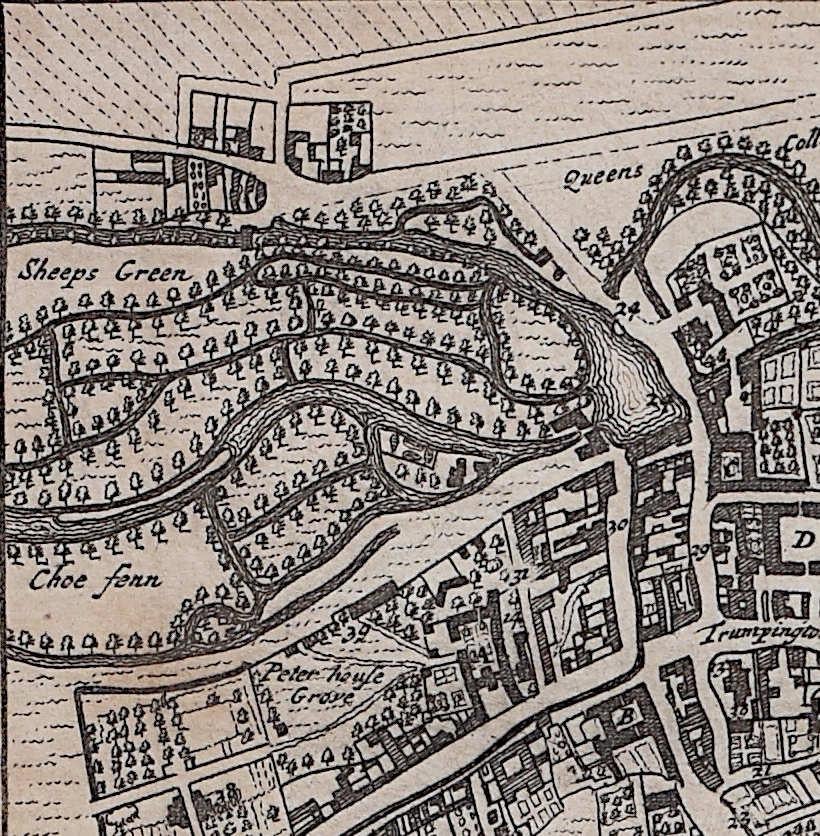 Map of Cambridge, engraving Pieter van der Aa after David Loggan - Realist Print by Pieter Van Der Aa