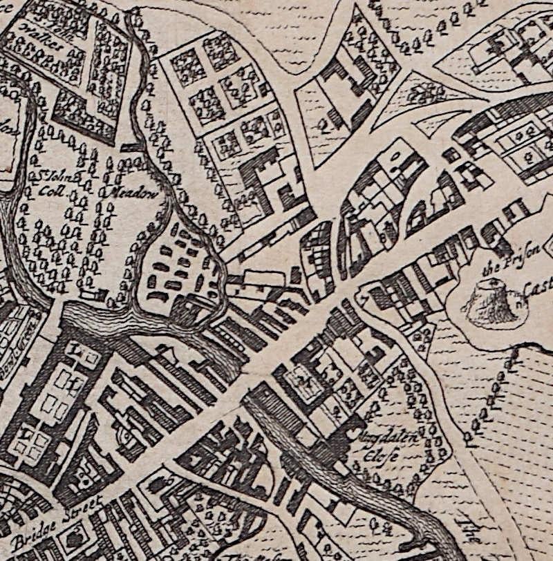 Map of Cambridge, engraving Pieter van der Aa after David Loggan For Sale 2