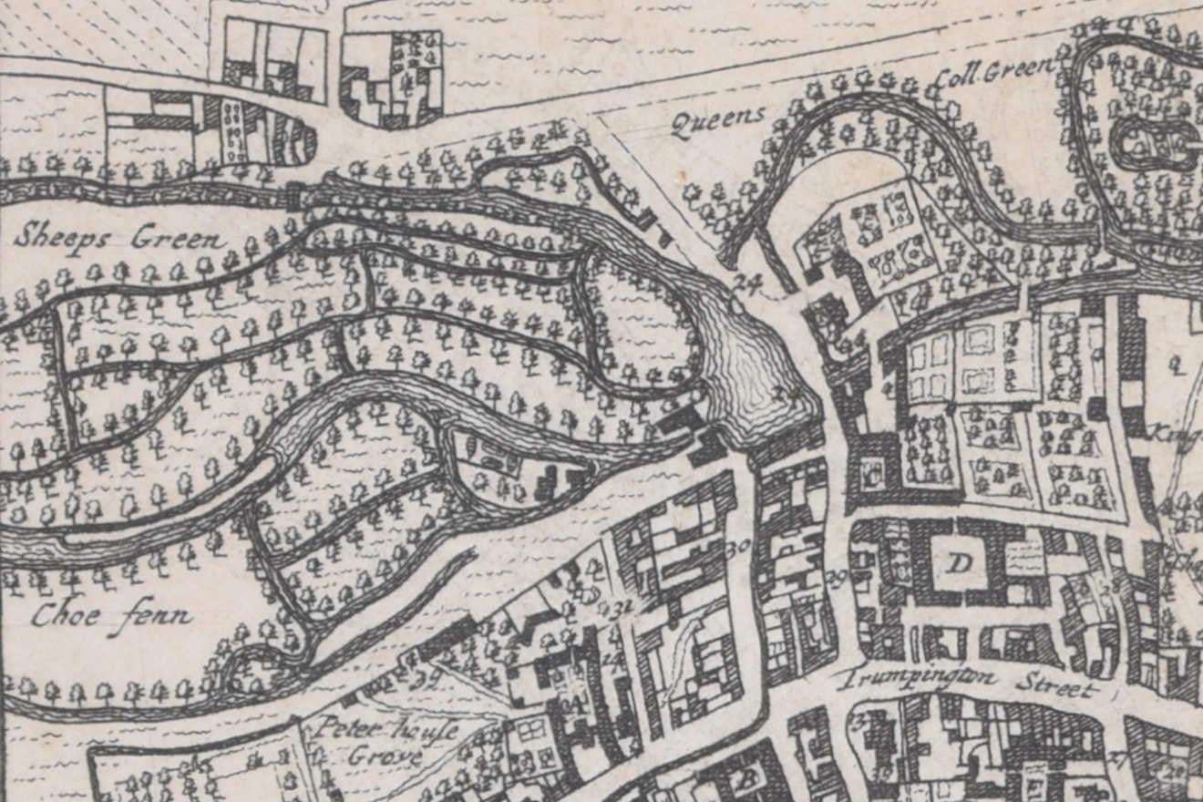 Pieter van der Aa: Map of Cambridge, after David Loggan - Realist Print by Pieter Van Der Aa