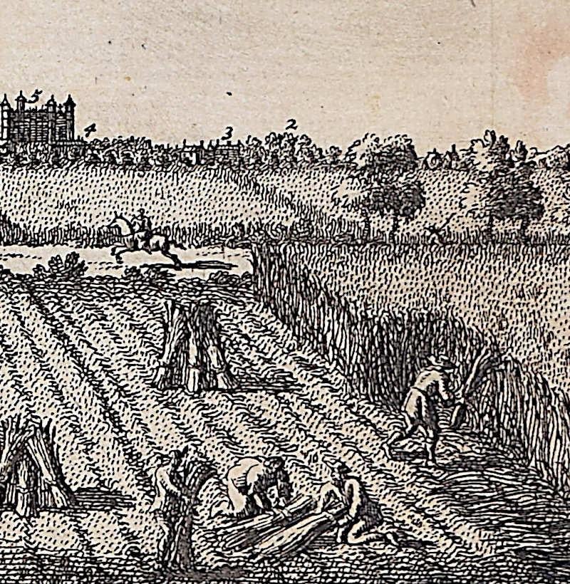 View of Cambridge, engraving Pieter van der Aa after David Loggan - Realist Print by Pieter Van Der Aa