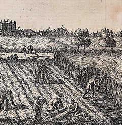 Ansicht von Cambridge, Gravur Pieter van der Aa nach David Loggan