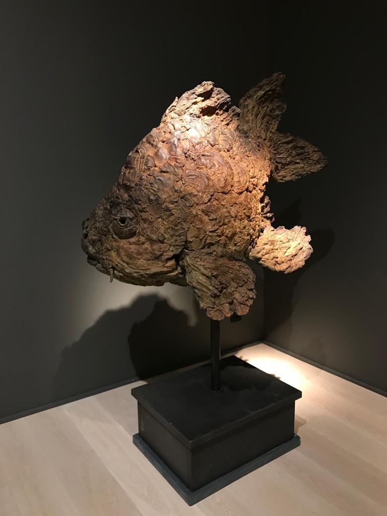 Pieter Vanden Daele Figurative Sculpture - Appolonia Bronze Sculpture Fish Contemporary Brown Patina