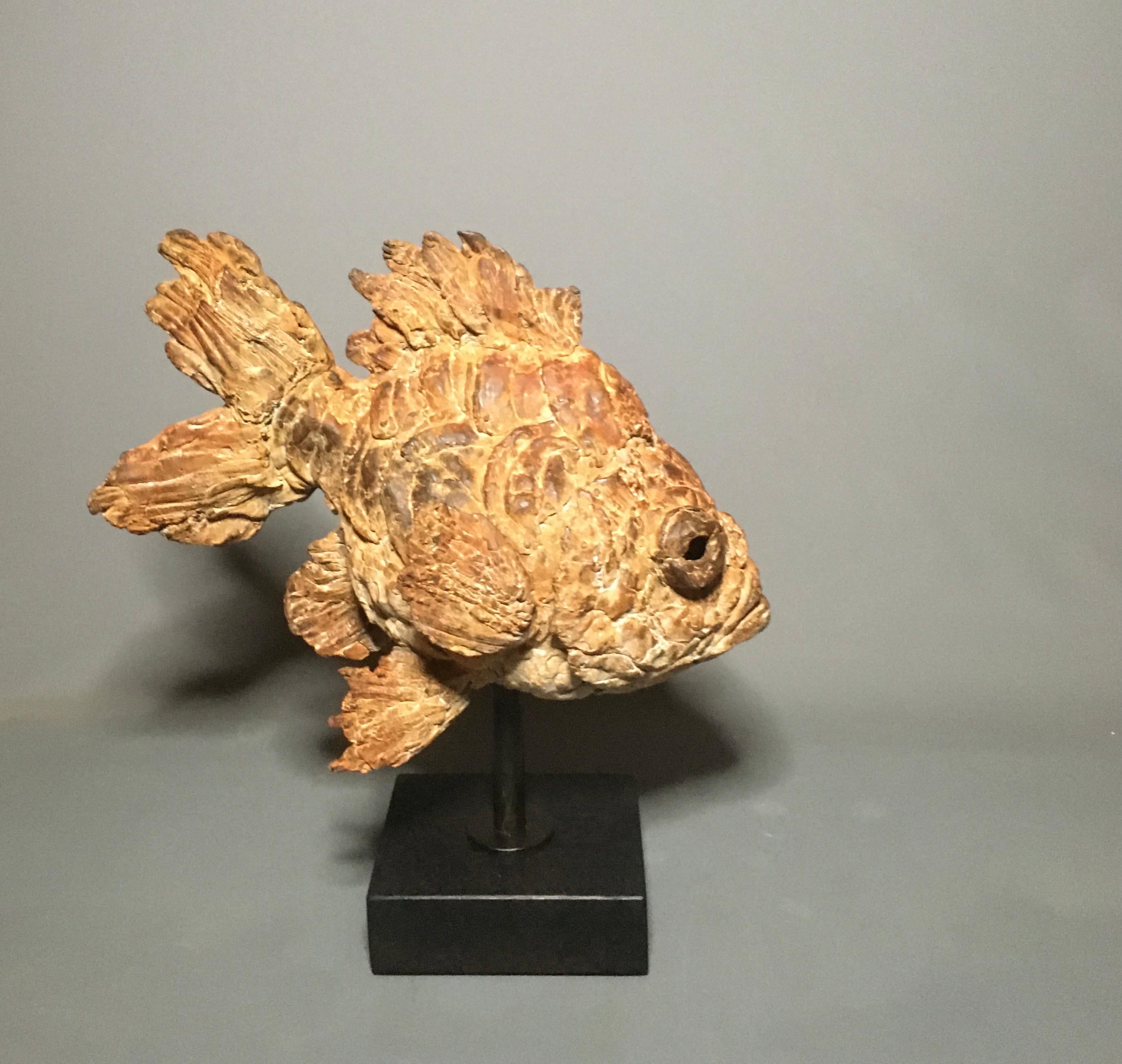 Arlequino Escultura Bronce Pez Animal Agua Marrón Contemporáneo  En stock - Sculpture de Pieter Vanden Daele