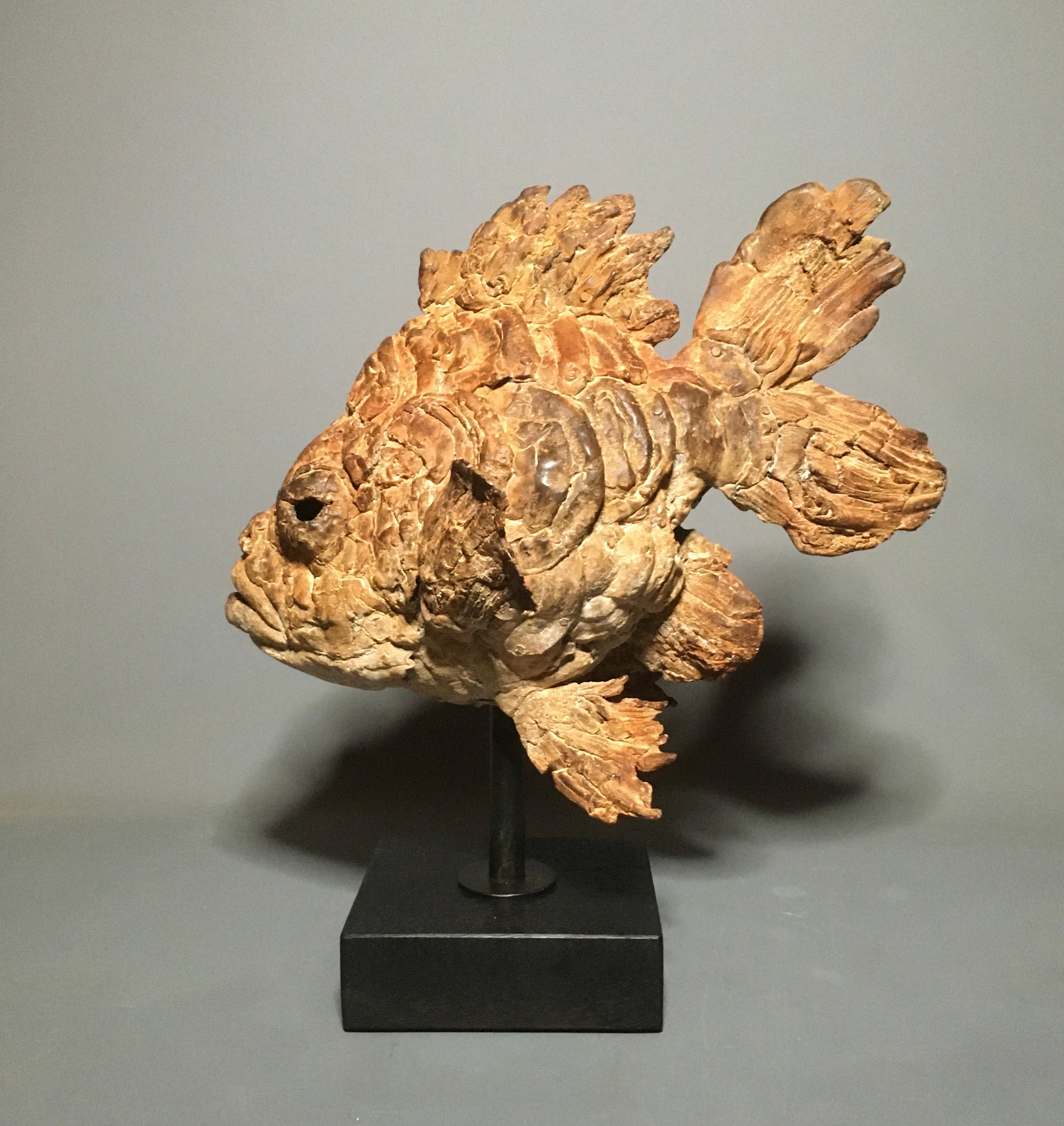 Pieter Vanden Daele Figurative Sculpture - Arlequino Bronze Sculpture Fish Animal Water Brown Contemporary  In Stock 